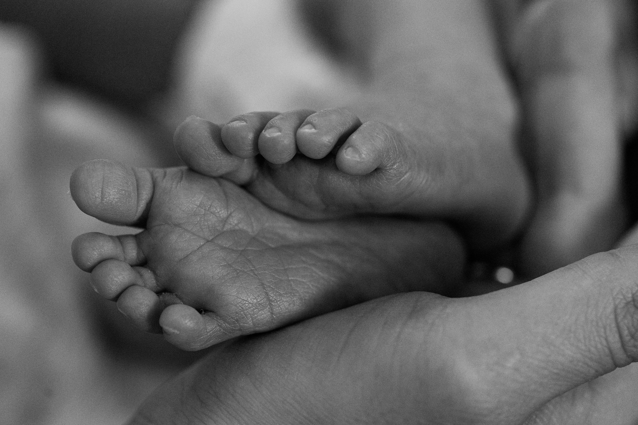 Семейная фотосессия. Портретный фотограф в Москве Екатерина Богдасарова