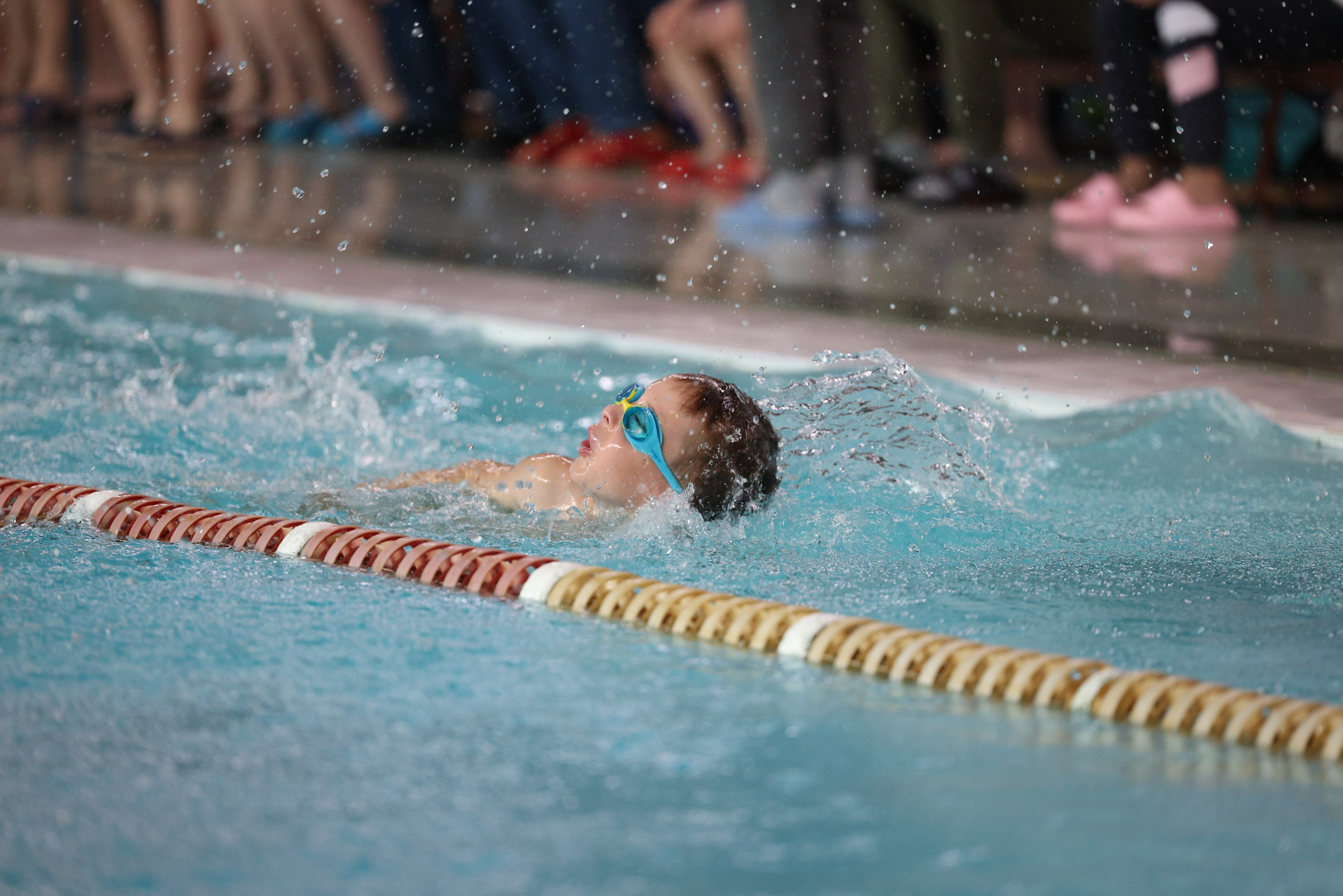 Веселый дельфин. Плавание. Дети 8-9 лет. Фотограф Александр Заломаев