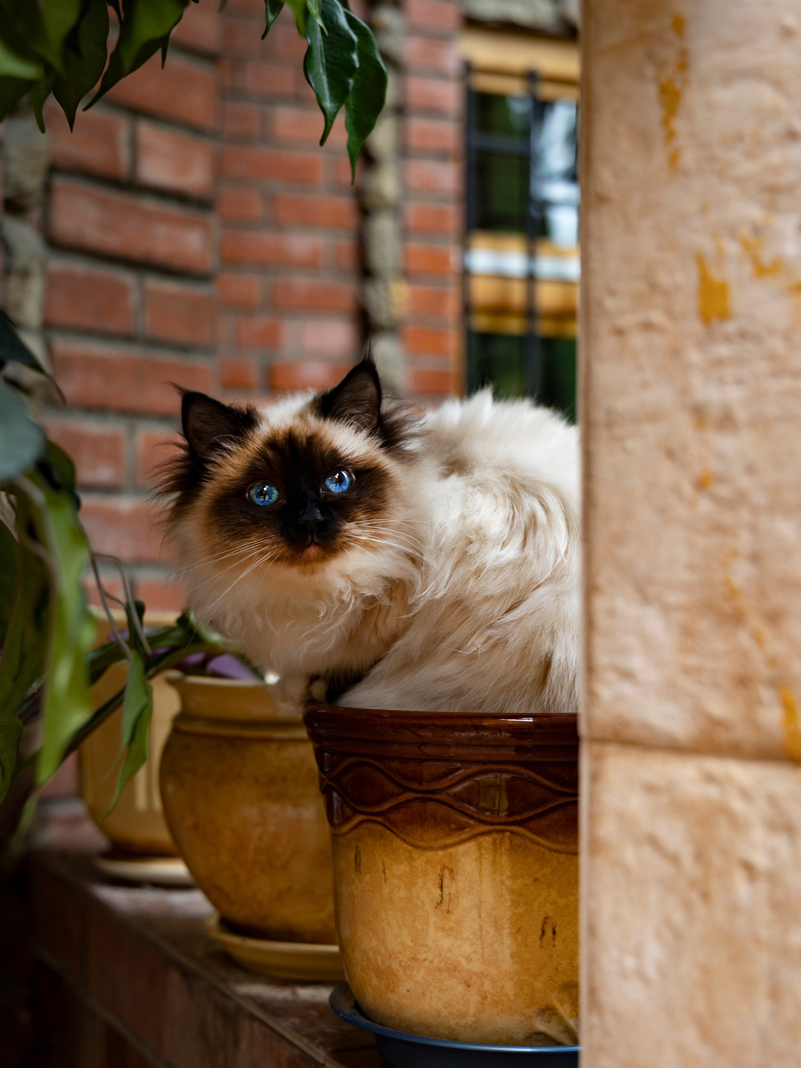 Фотограф Татьяна Марсуверских г. Жуковский, Москва и Мо. Репортажные съёмки, фотосессии,  фотограф анималист, фотосъёмка животных. Фотограф для маркетплейсов, фотоуслуги в Жуковском Татьяна Марсуверских