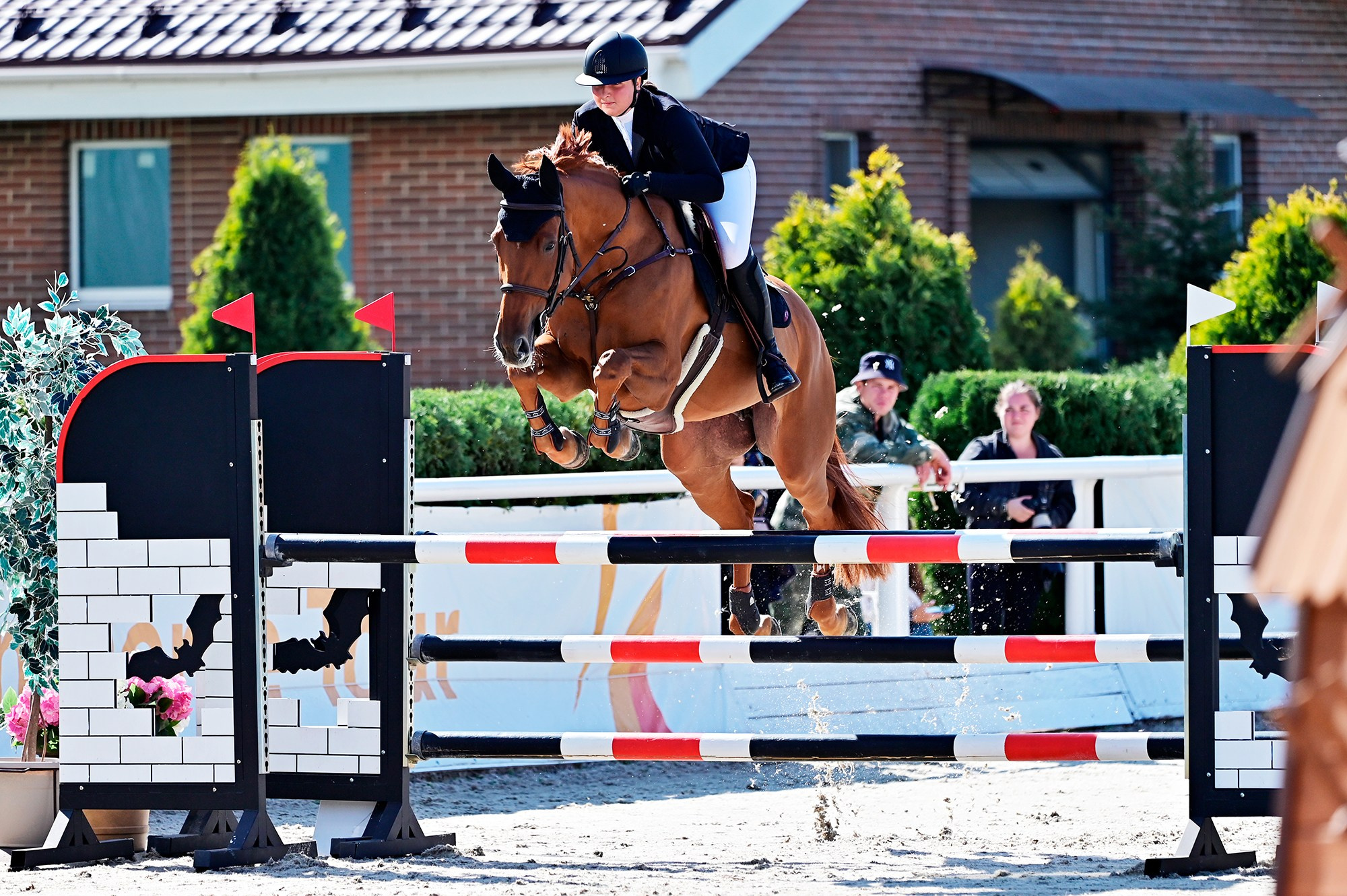 Голден. Конный фотограф Alesya Safe