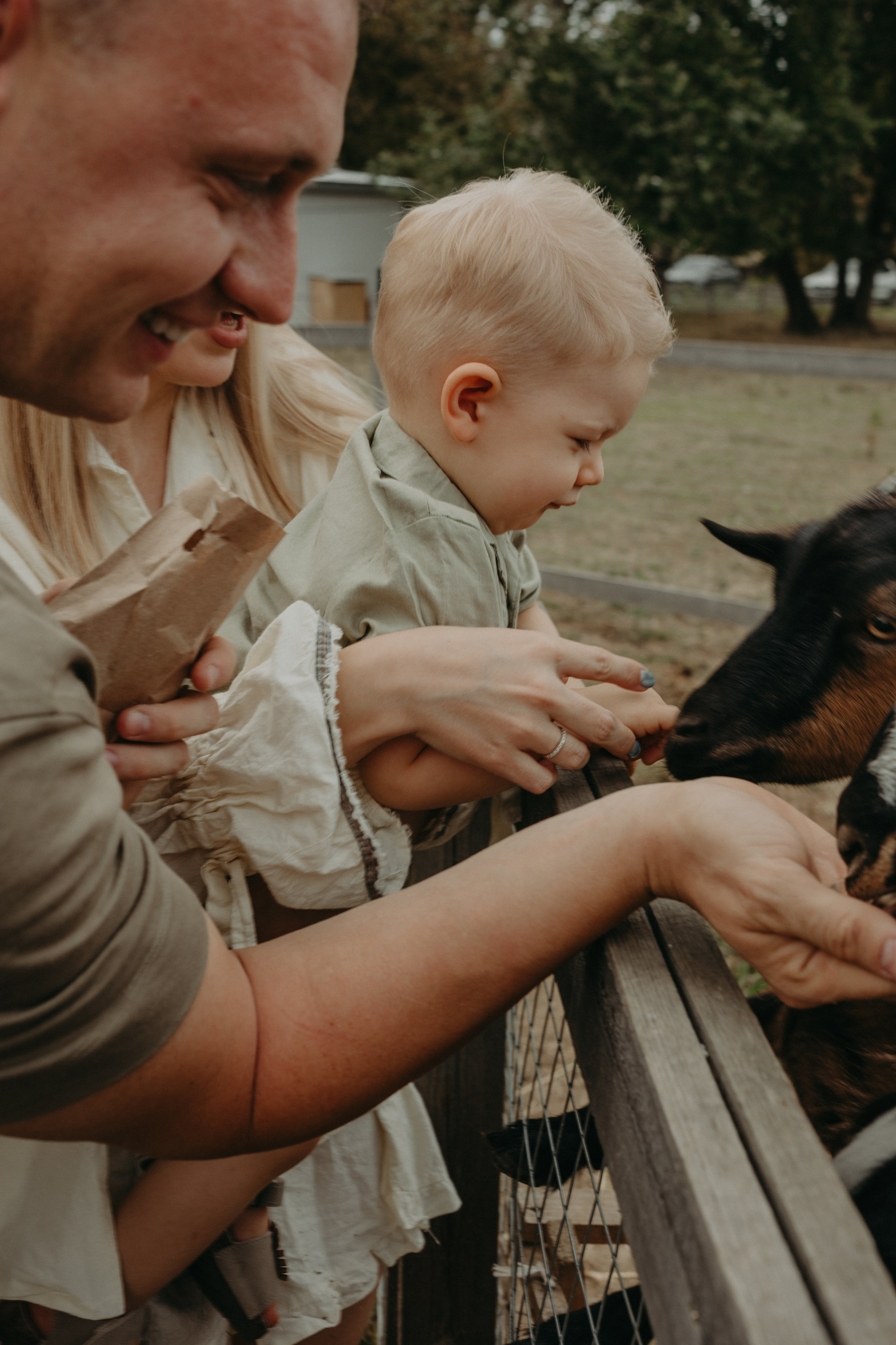 Семейное путешествие на ферму. Фотограф в Краснодаре Евгения Михаевич