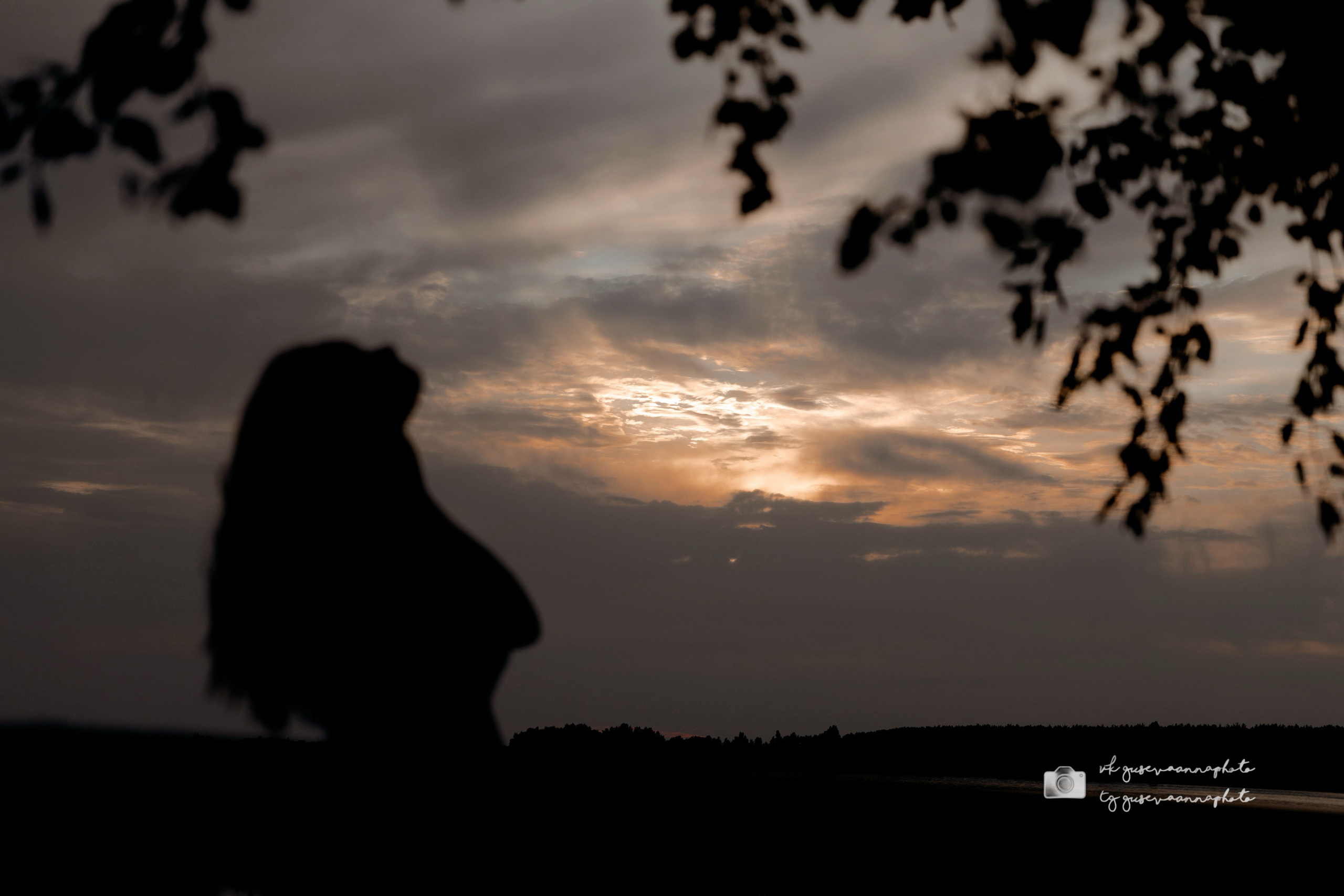 Индивидуальные фотосессии. Фотограф в Старом Осколе Гусева Анна