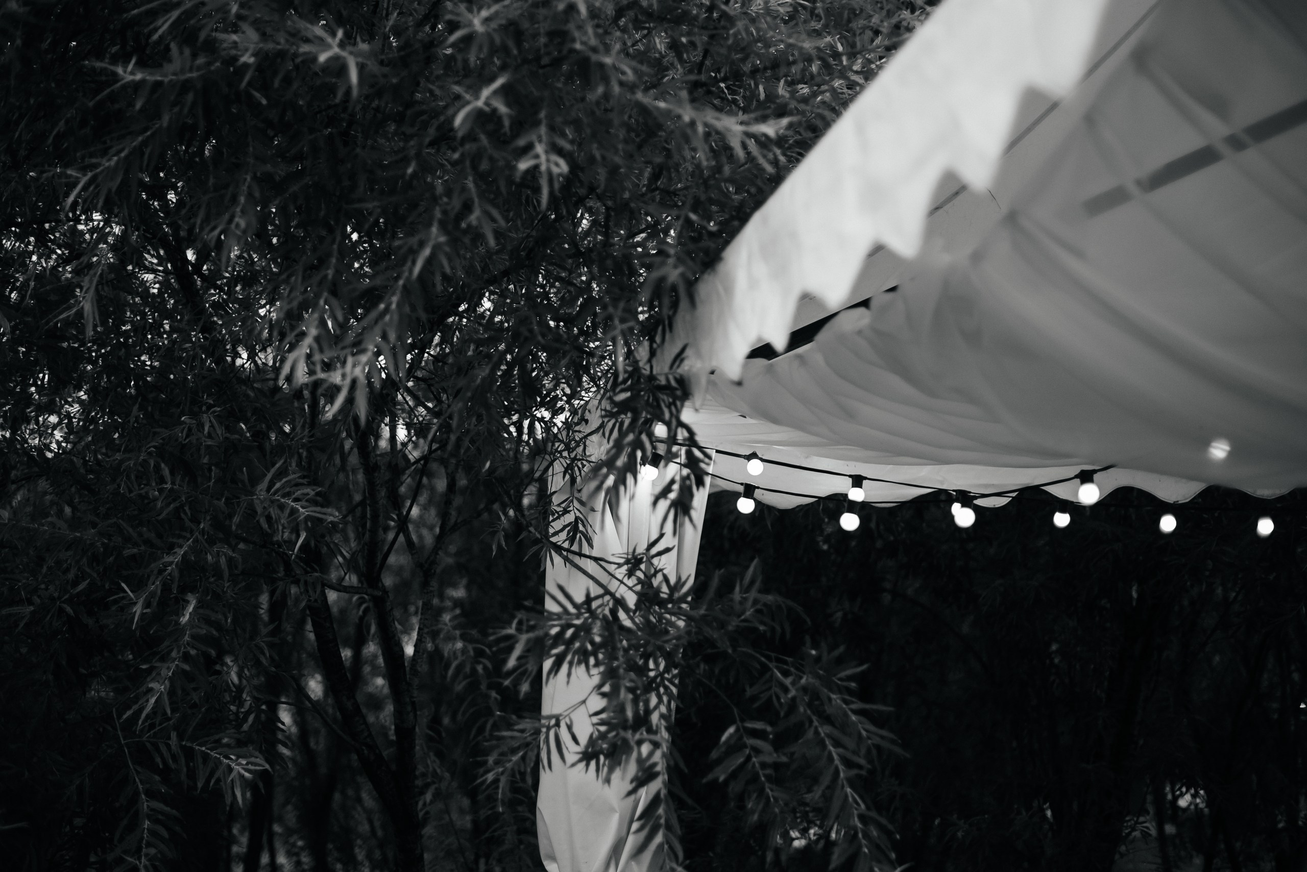 Дмитрий и Анна. Свадебный фотограф