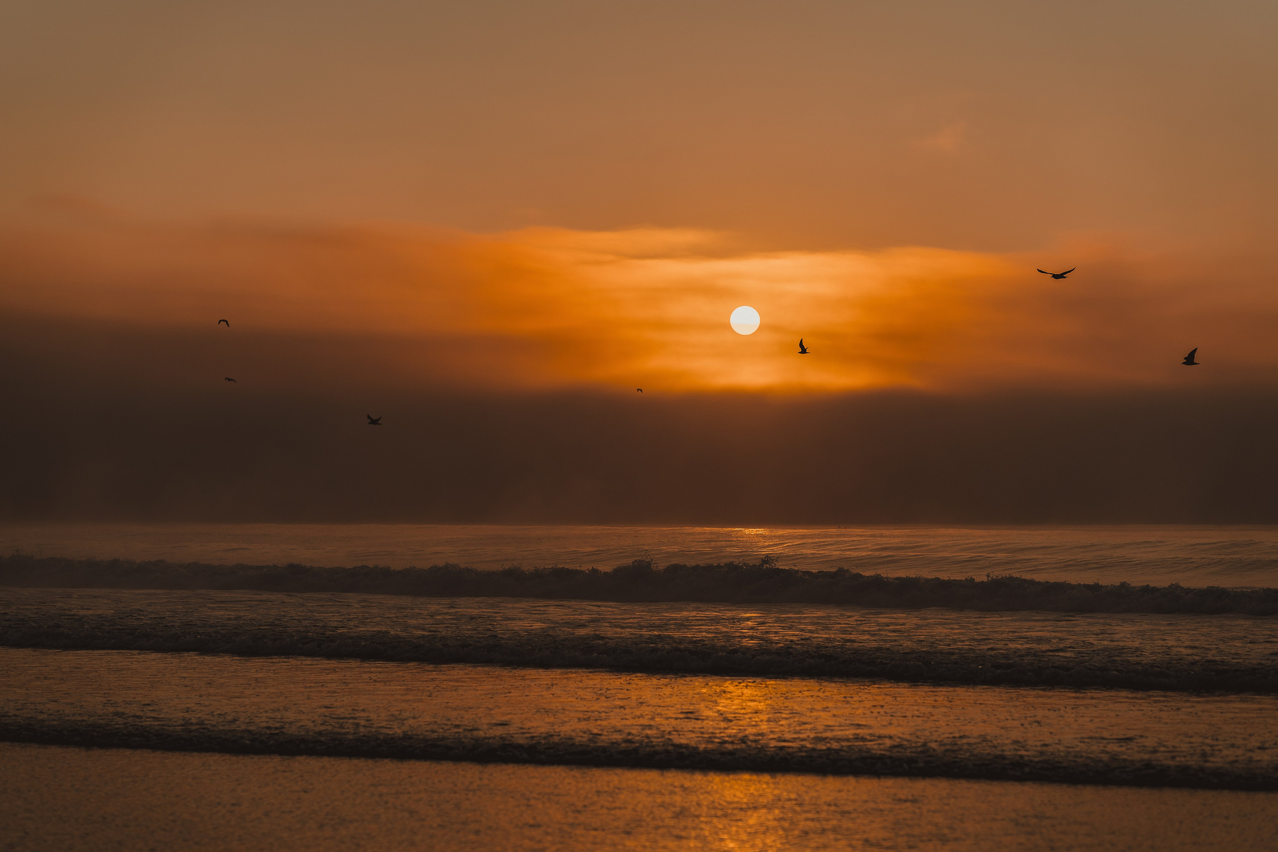 Природа. Свадебный и love story фотограф в Петропавловске-Камчатском Алексей Глебов