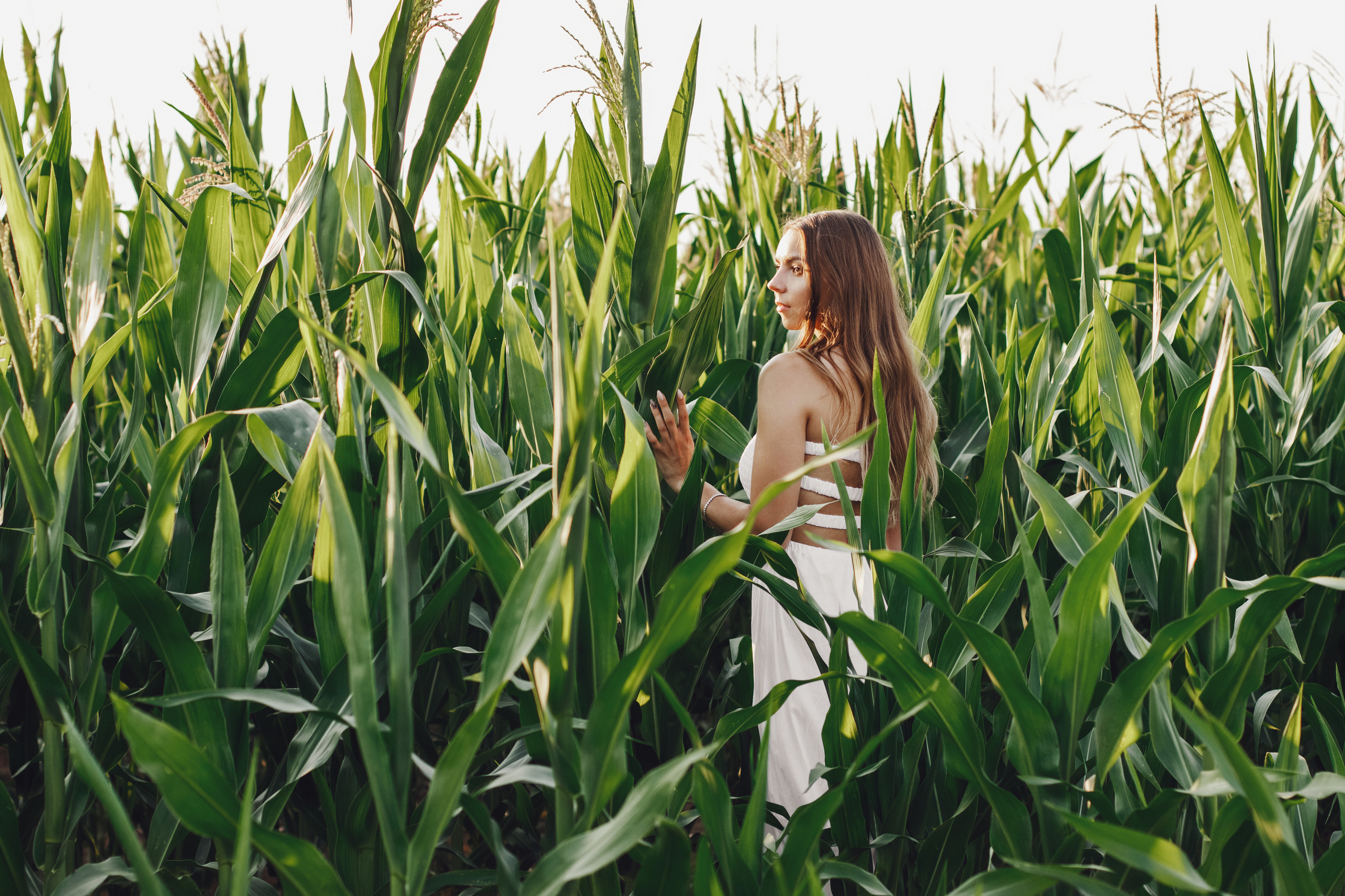 Фотосессия в кукурузном поле. Контентный фотограф в Перми Натали Кытманова