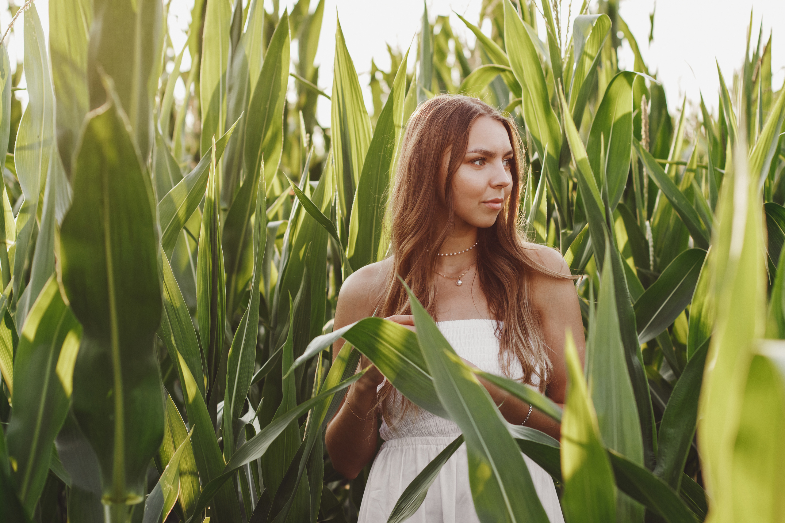 Фотосессия в кукурузном поле. Контентный фотограф в Перми Натали Кытманова
