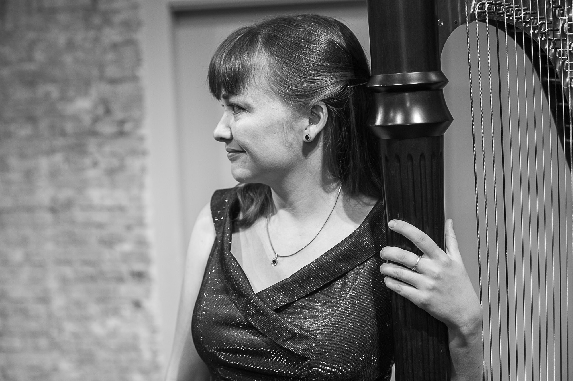 Арфа и маримба. SaGaFOTO.ru