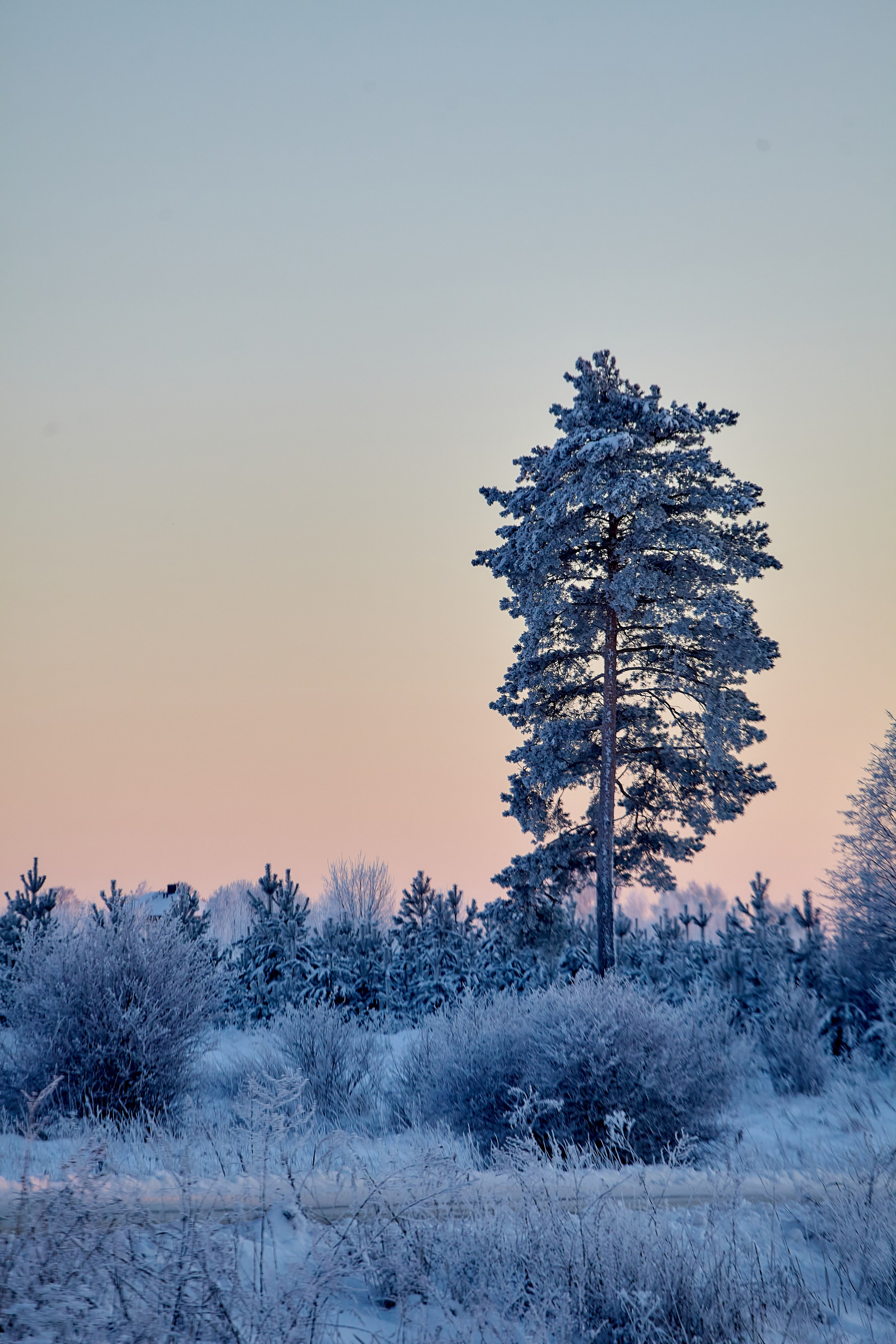 Фотографии природы