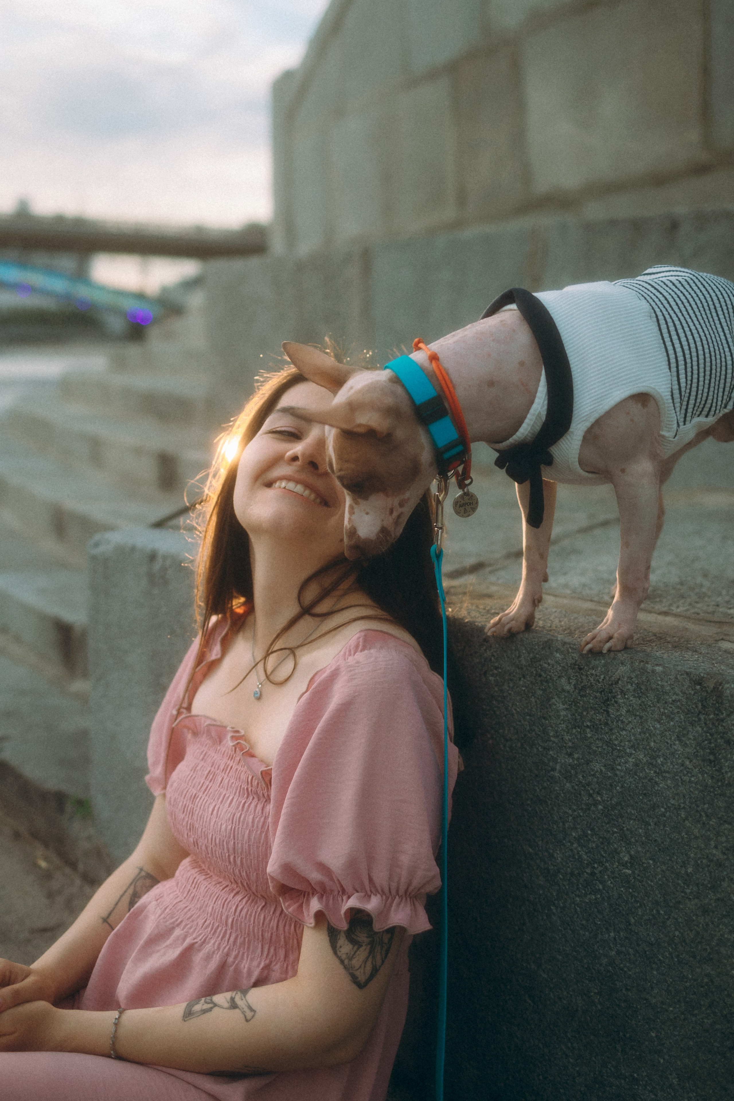 Глаша, Айрон, Ксюша и Оля. Фотограф анималист Анастасия Пикей