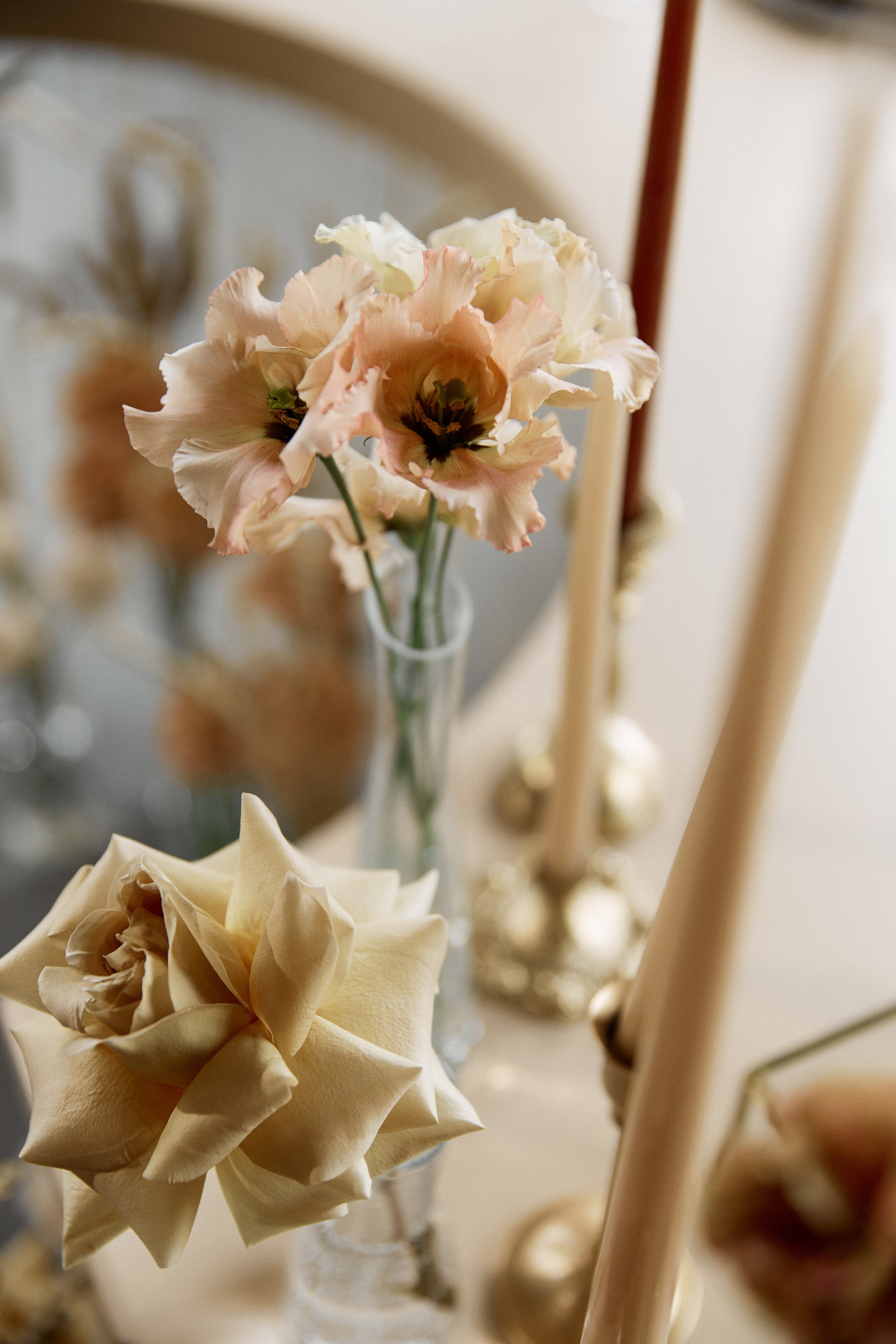 Посмотреть серию. Свадебный и семейный фотограф в Красноярске Тряпчев Павел