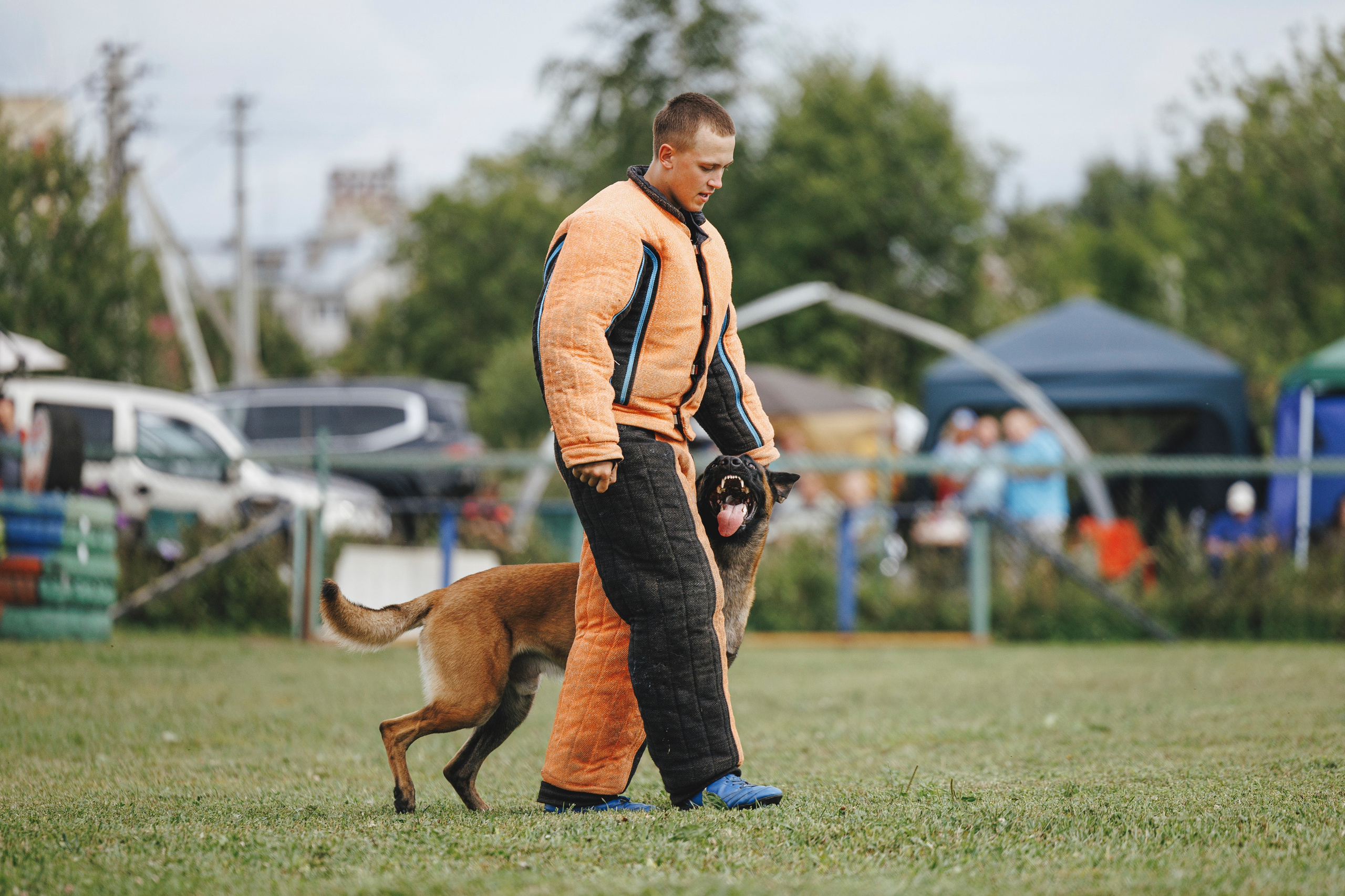08.08.25-10.08.25 ЧР по мондьорингу г. Вологда. Фотограф-анималист Анна Маринич