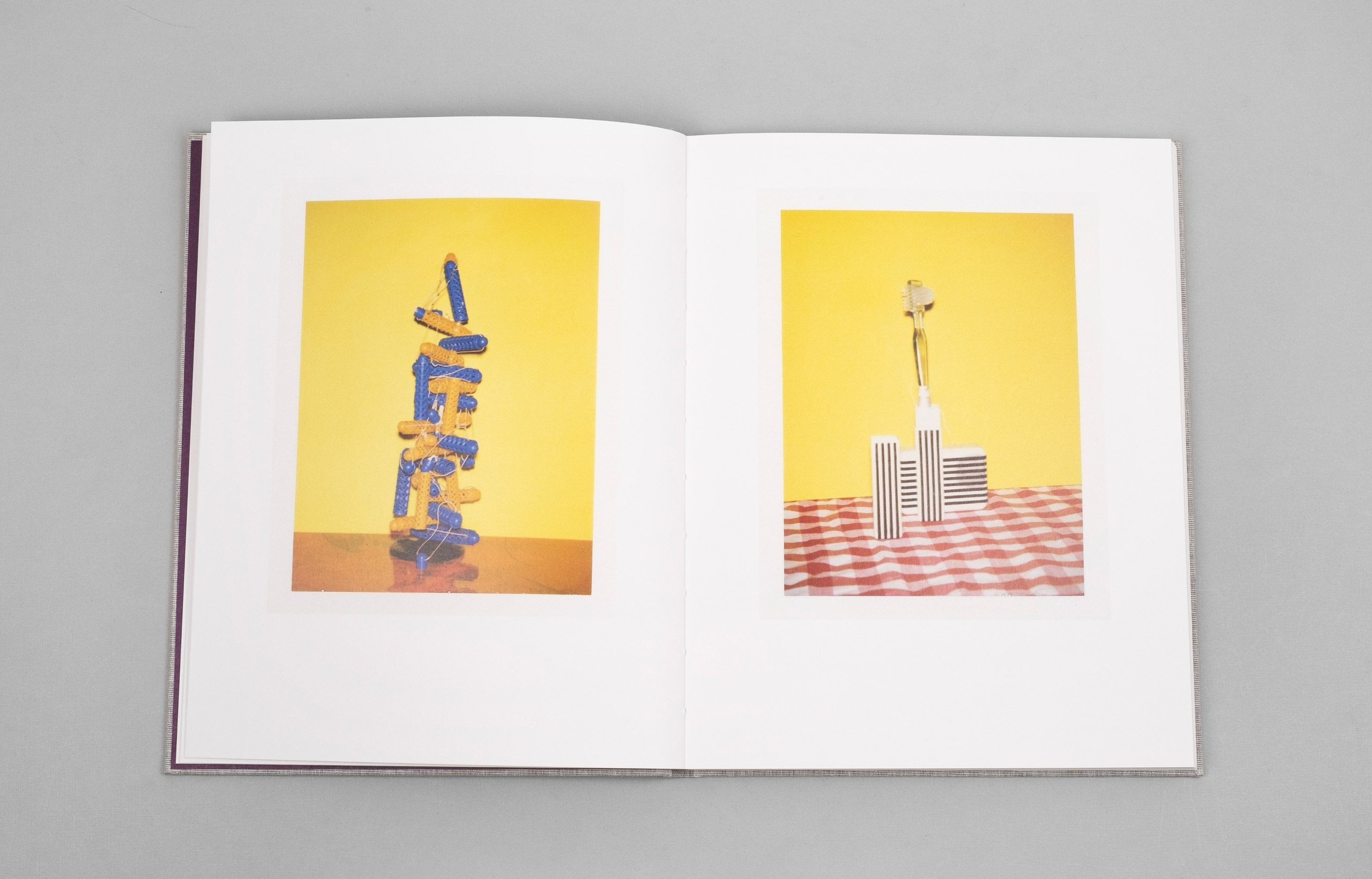 ОБЗОР АКТУАЛЬНЫХ ФОТОКНИГ: Тоос и Тайни. Самоорганизация Низина