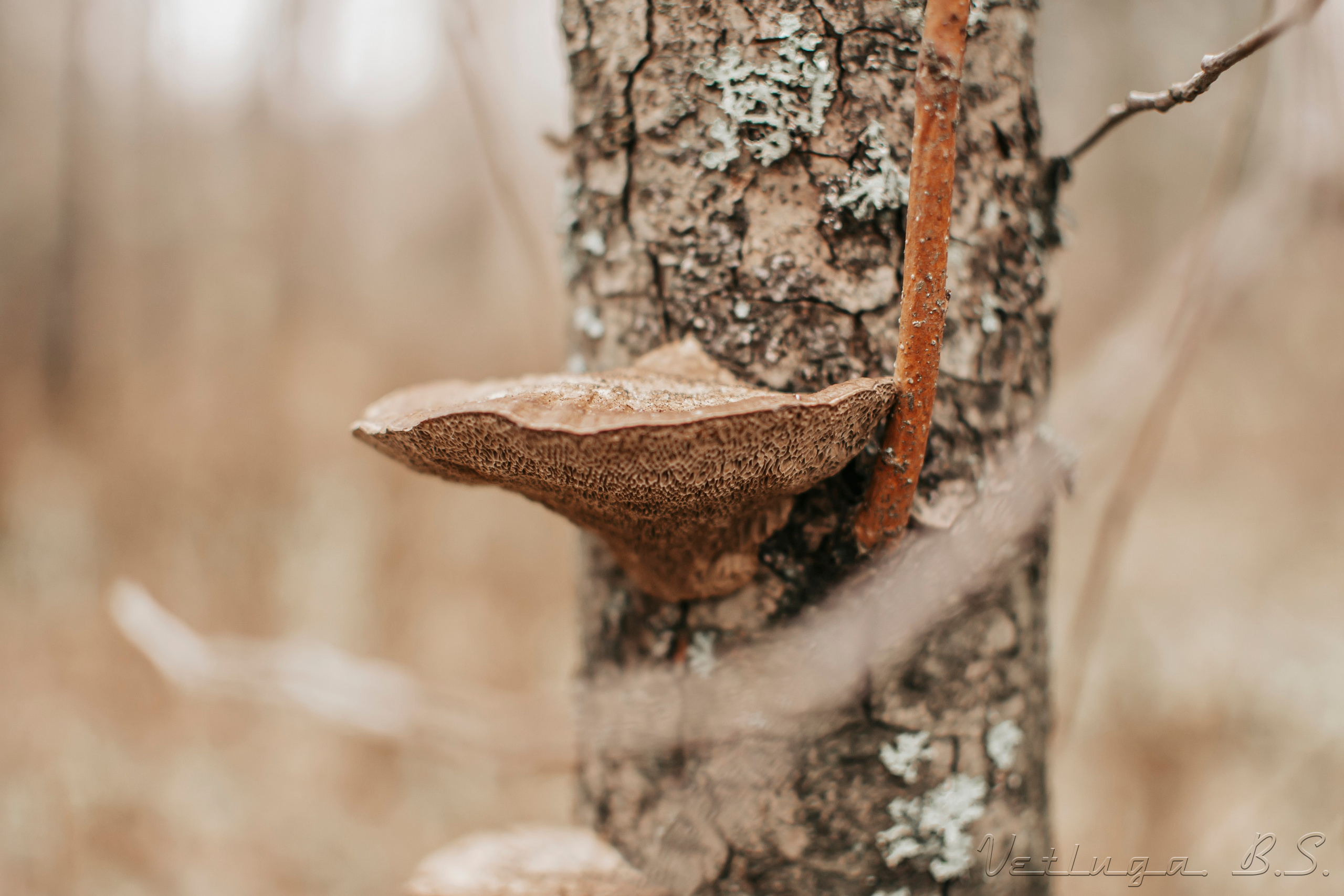 Поход. Фотограф в Ветлуге Сергей Белов (VETLUGA B.S.)