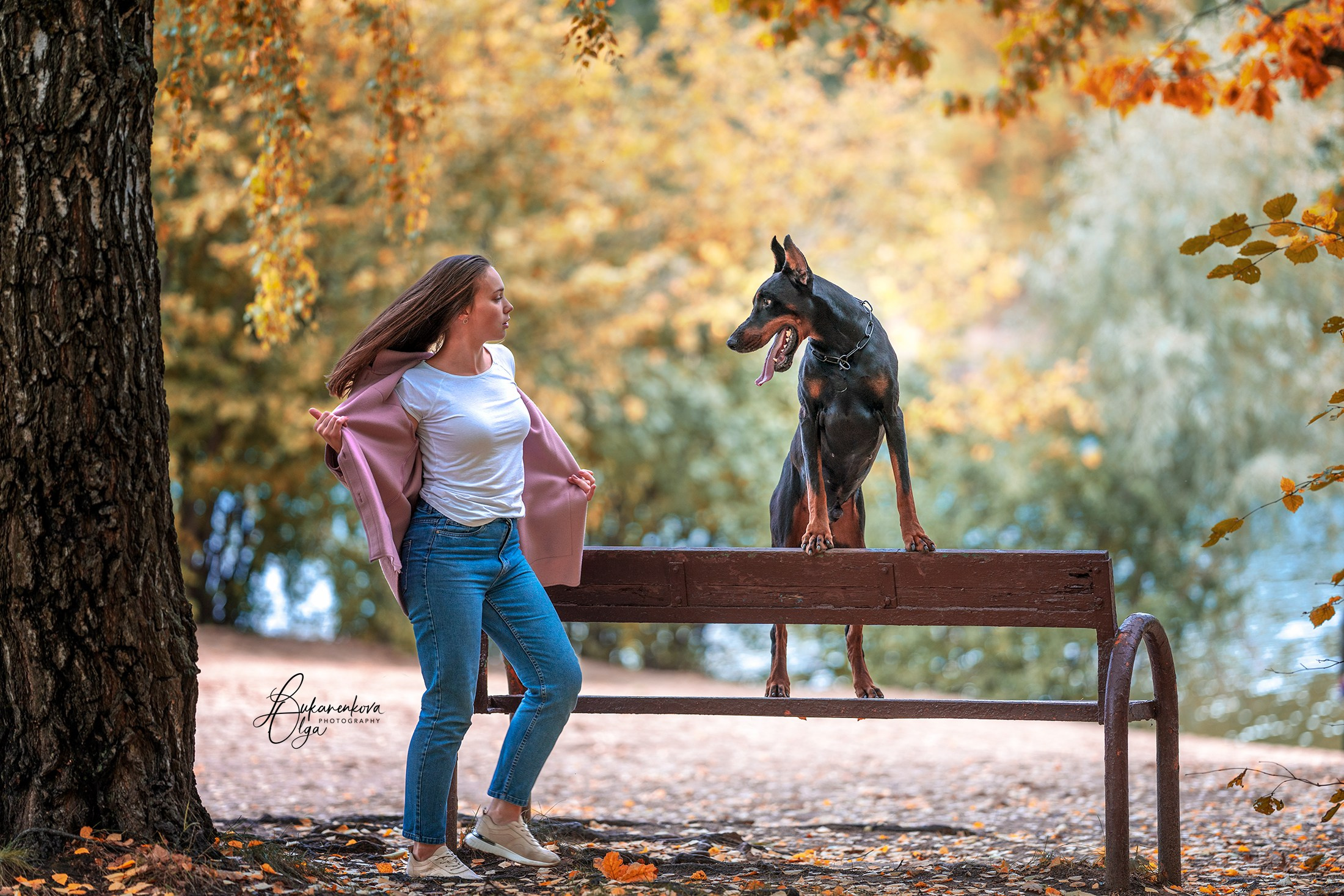 Осенняя рапсодия. Фотограф анималист Ольга Луканенкова в Москве