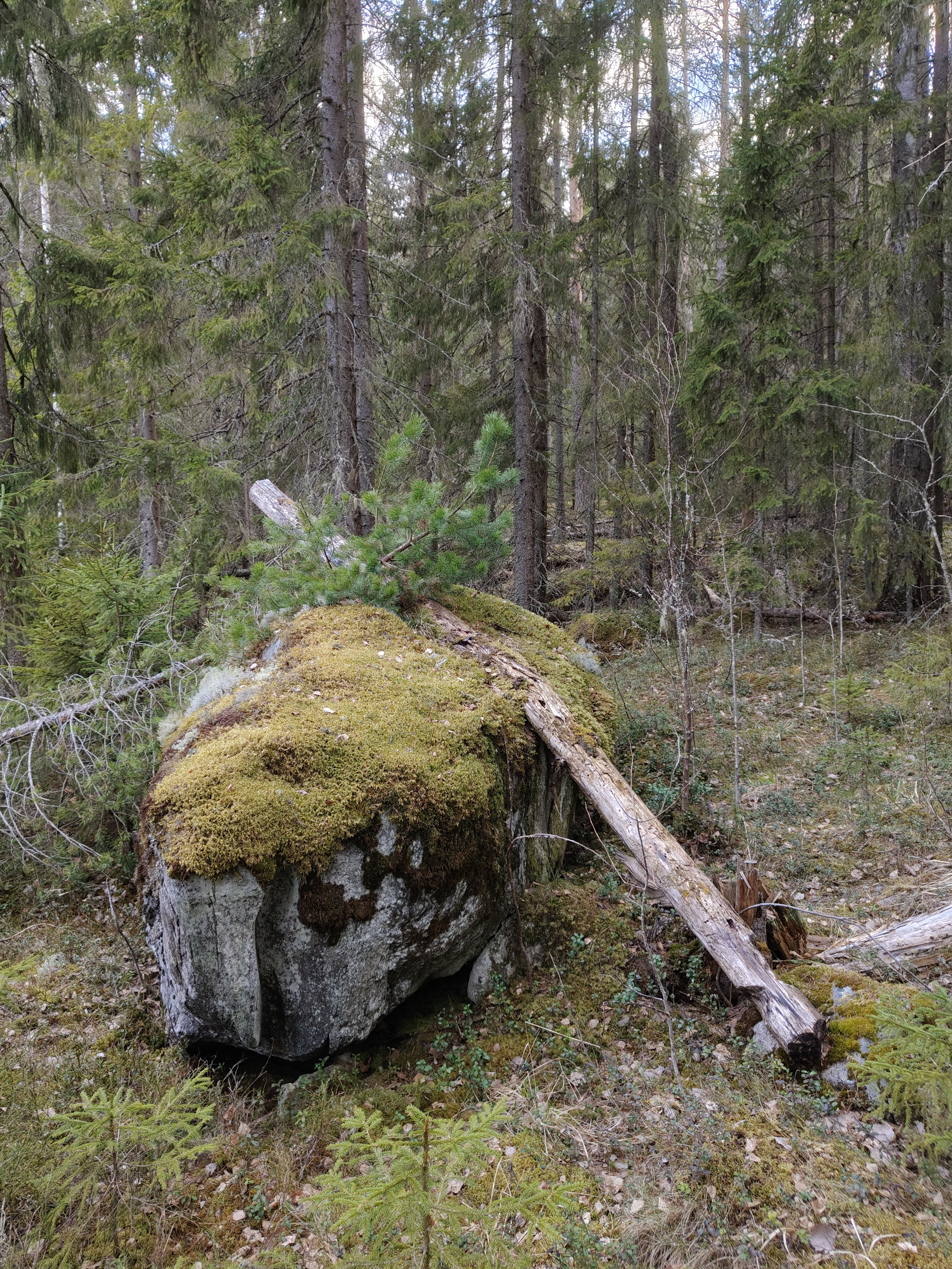 Сплав по Китенйоки | 2025