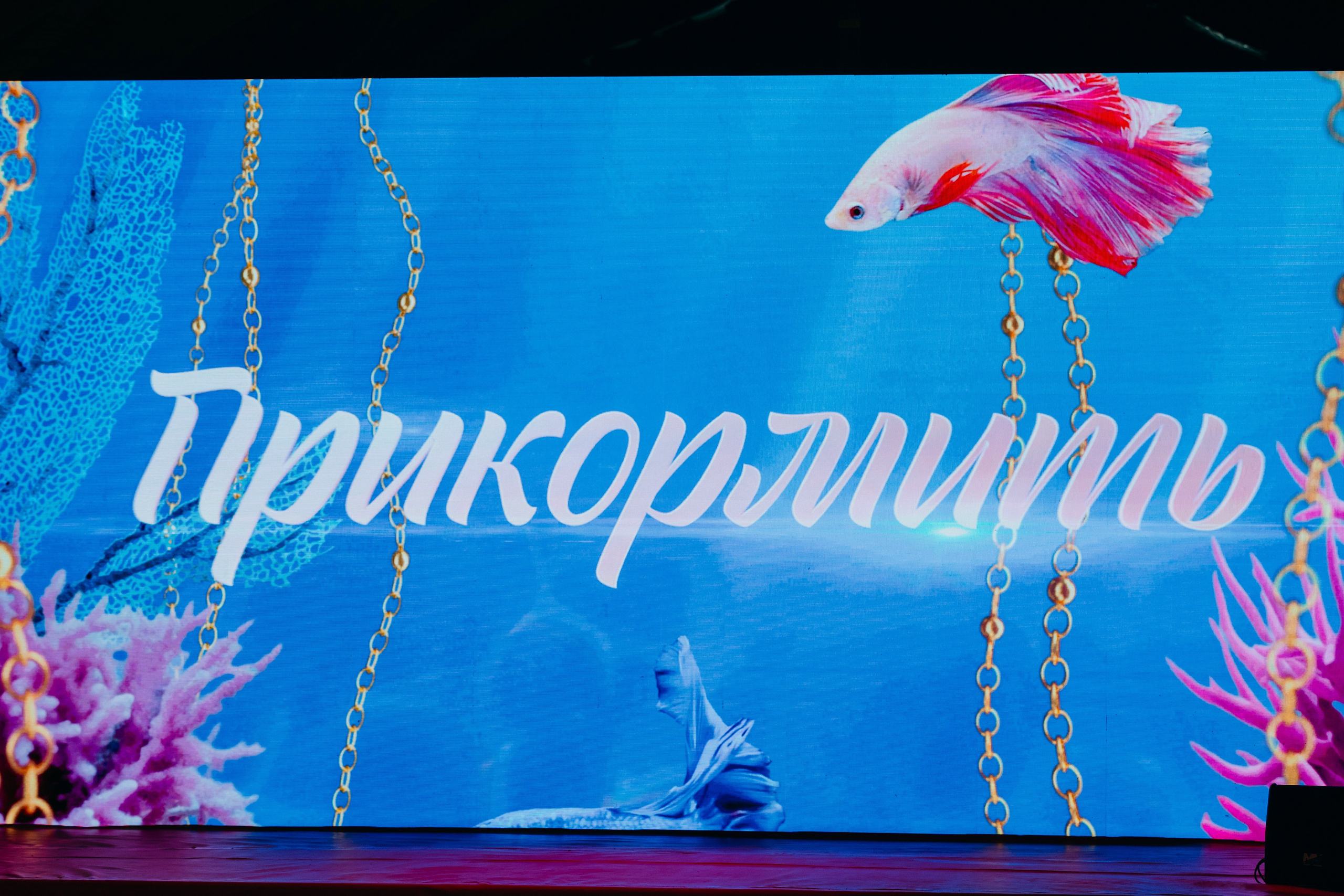 Выезд Домашнего Сейшелы 05.11.2024-07.11.2024. EVEREST PHOTO REPORT