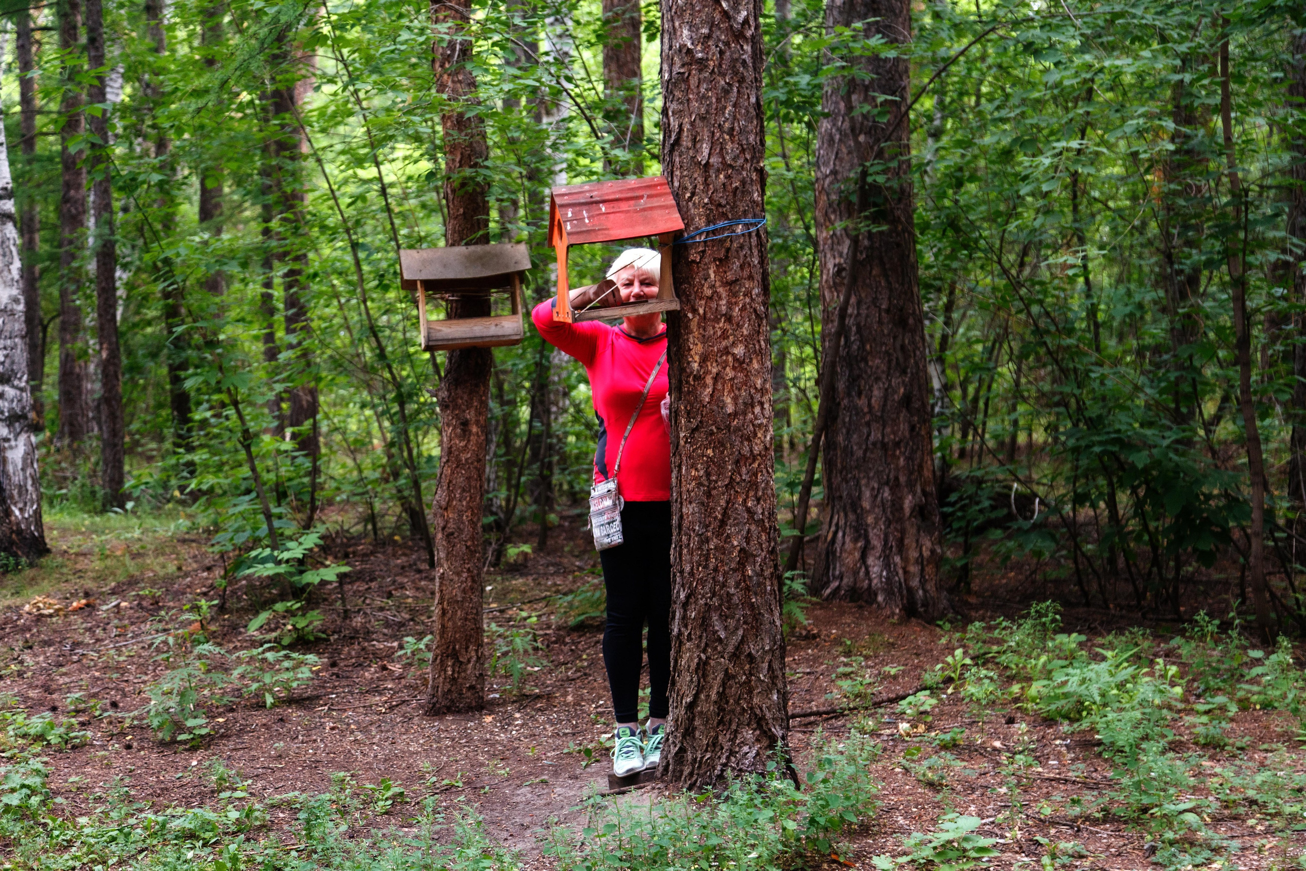 Белки / Squirrels. Фотограф Андрей Гузеев