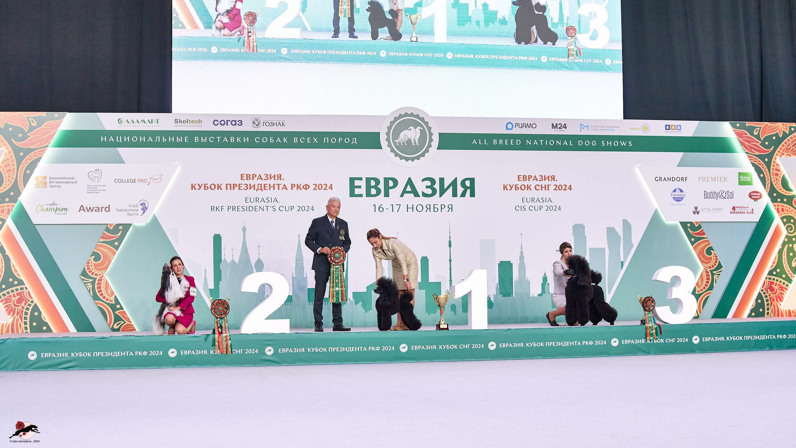 17.11.2024 «ЕВРАЗИЯ. КУБОК СНГ 2024»