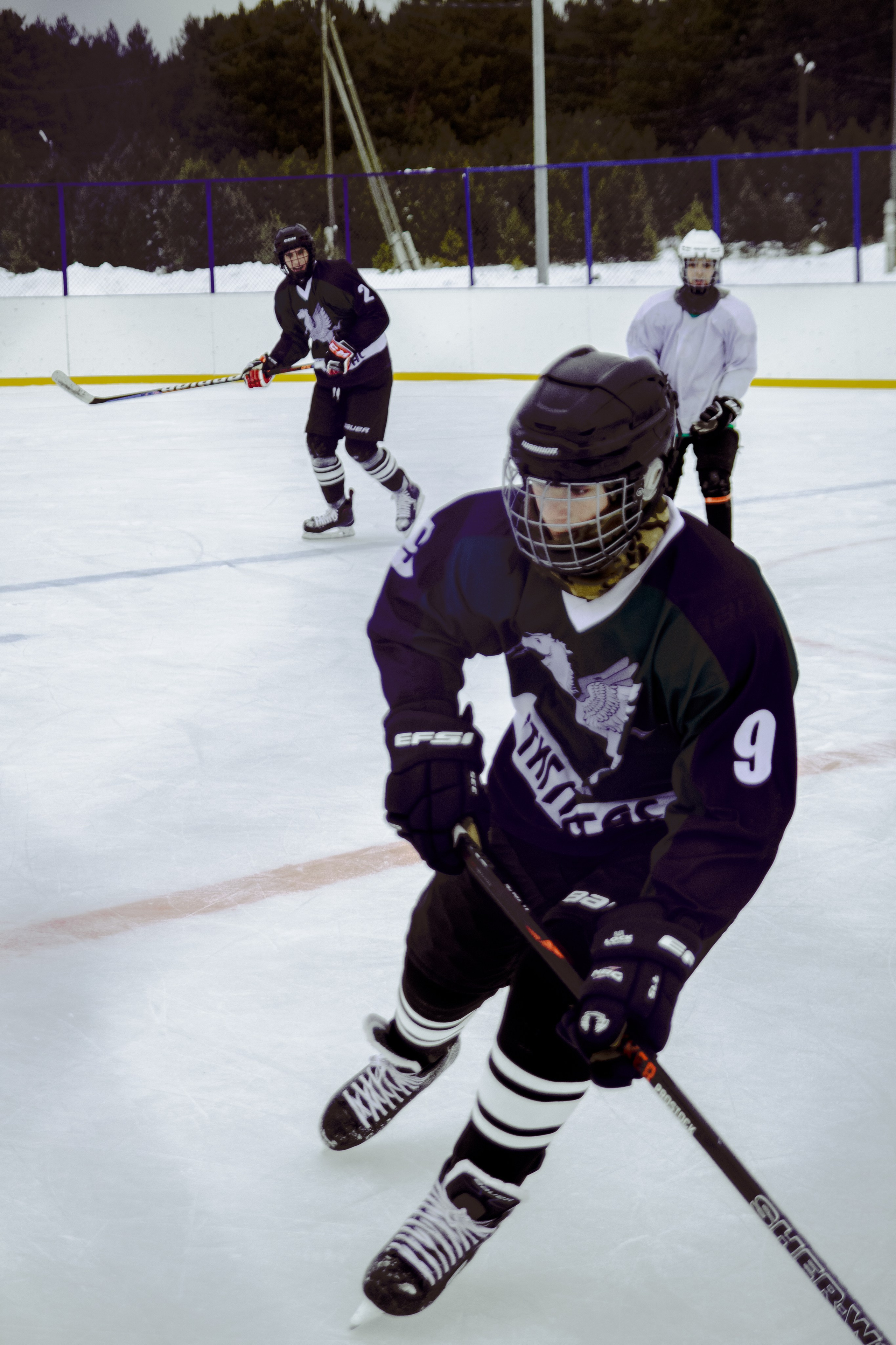 Хоккей 29.12.2024