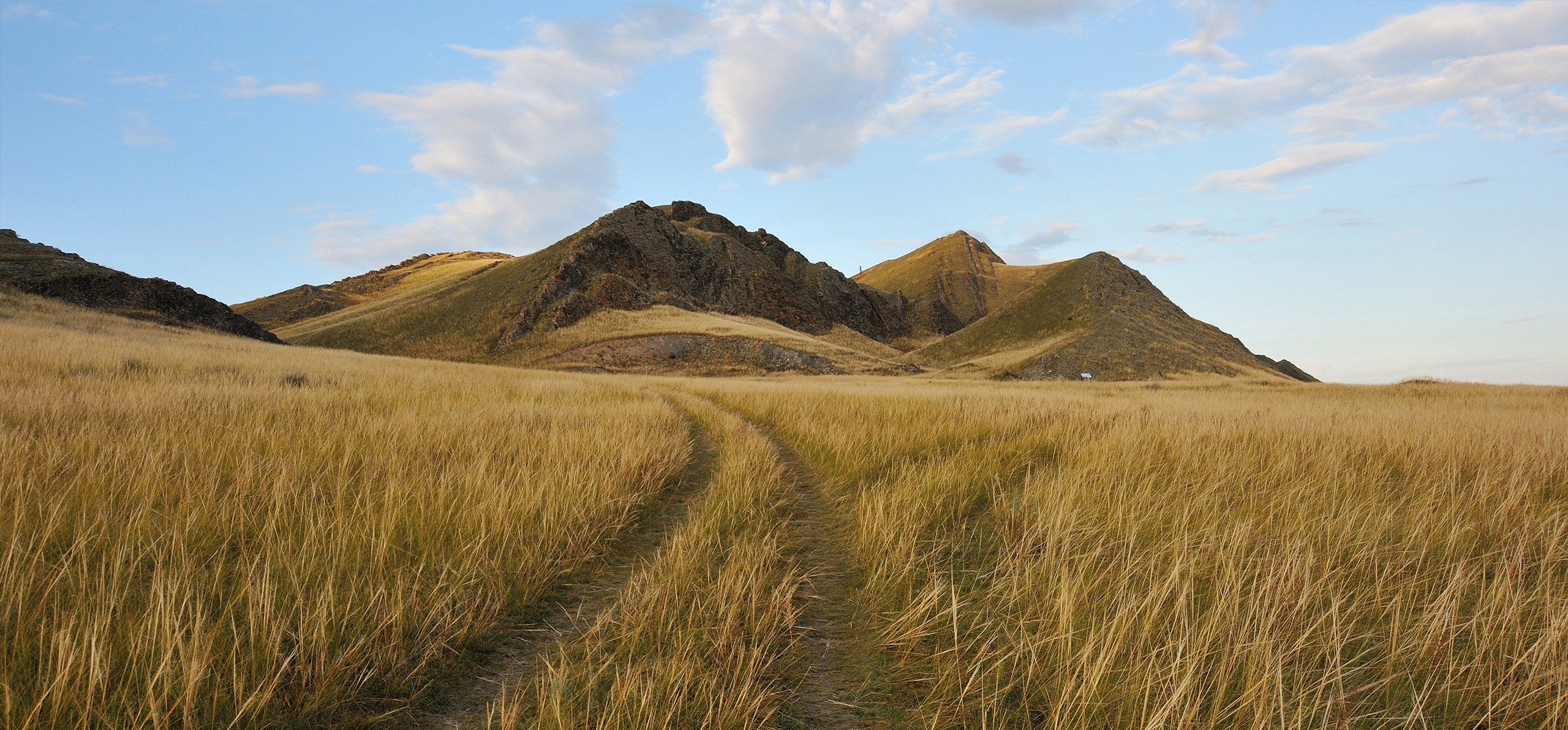 Хакасия цвет. Катерина Михеева