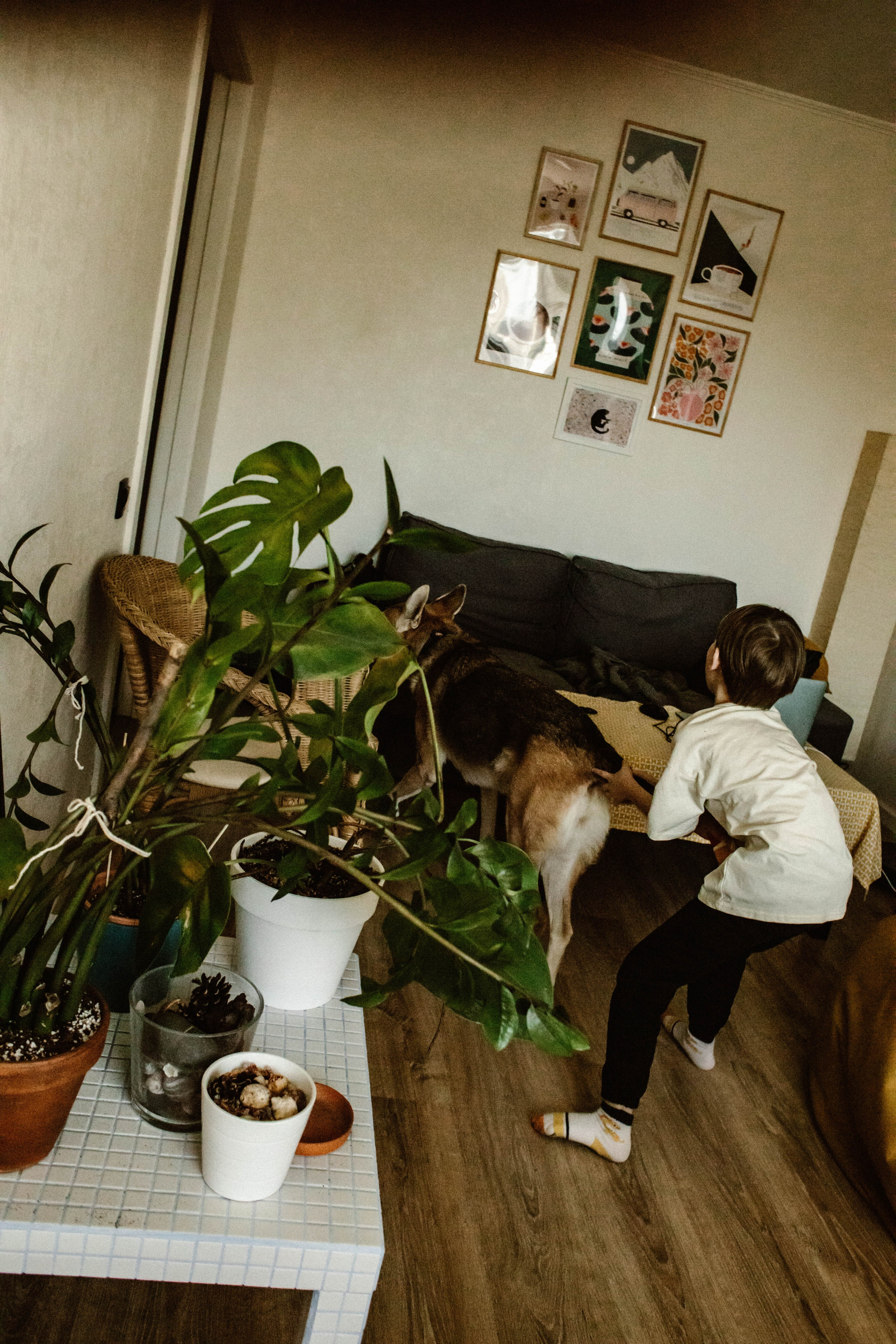 Миша. Матвей. Эмми. Фотограф в Нижнем Новгороде