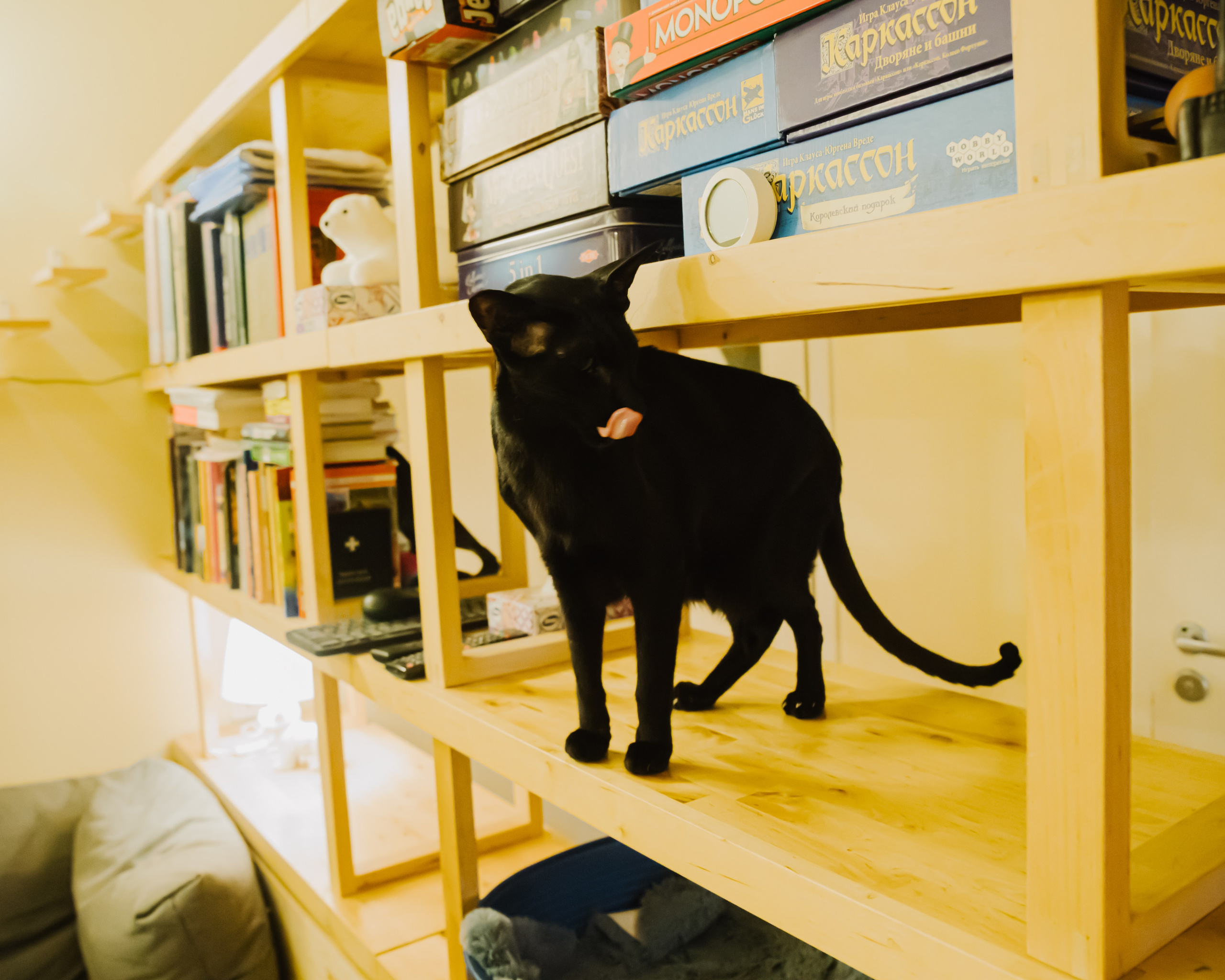 Гилдин. Портретный фотограф Ванинен Анастасия. Санкт-Петербург