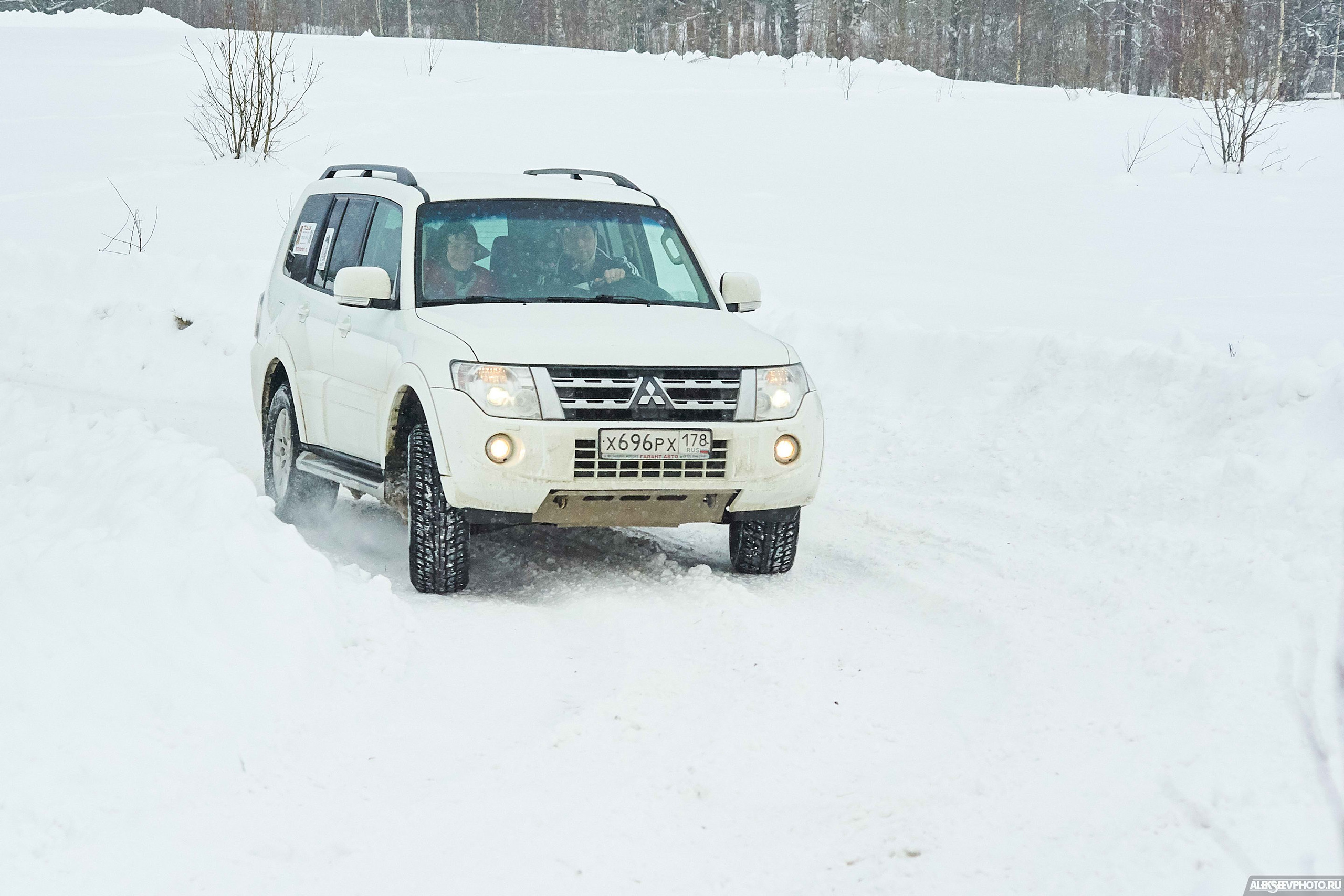 2018.02.17 — Золовкины посиделки у АвтоКОТов. Фотограф Алексей Алексеев