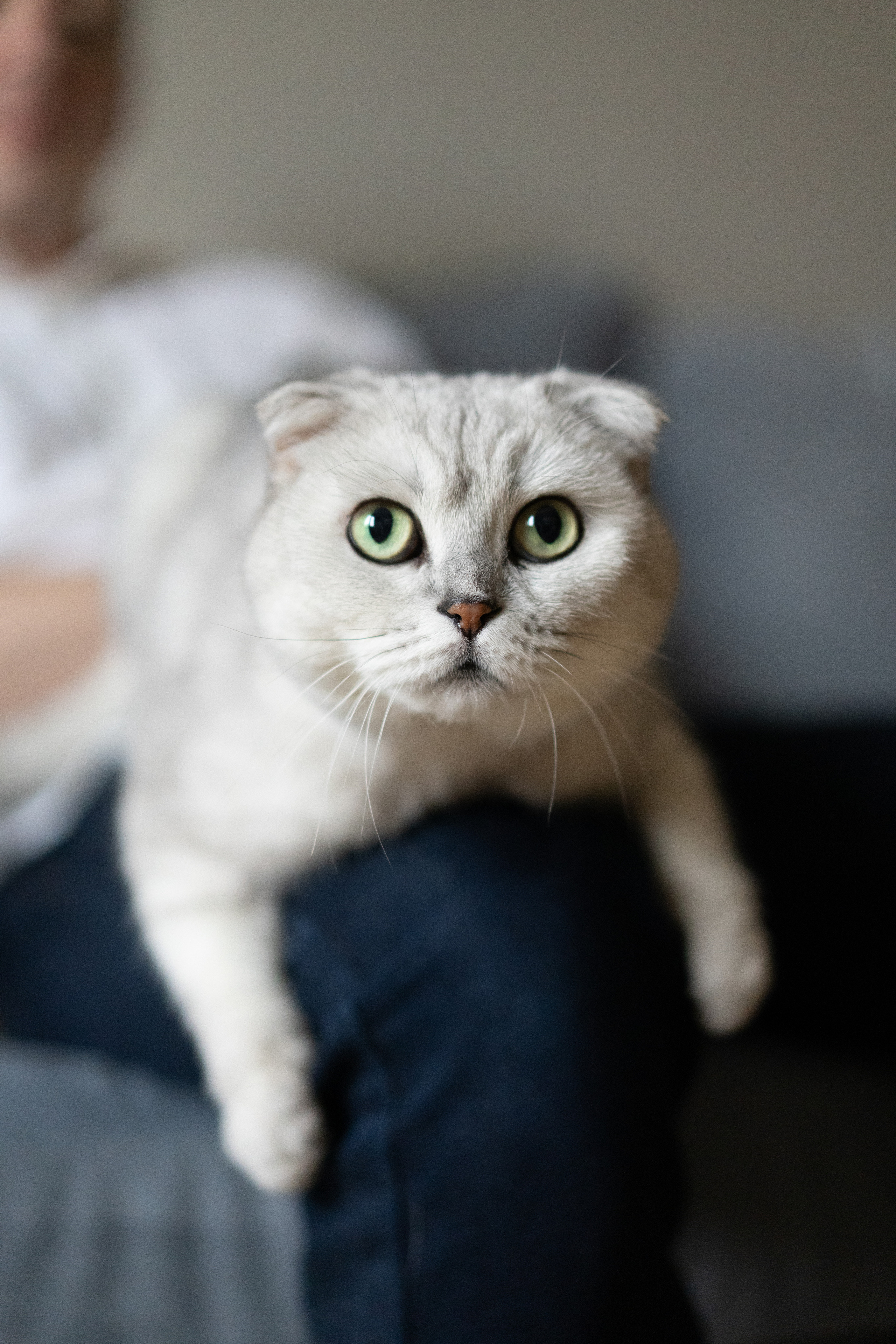 Семья. Ваш семейный и детский фотограф Софья в Москве