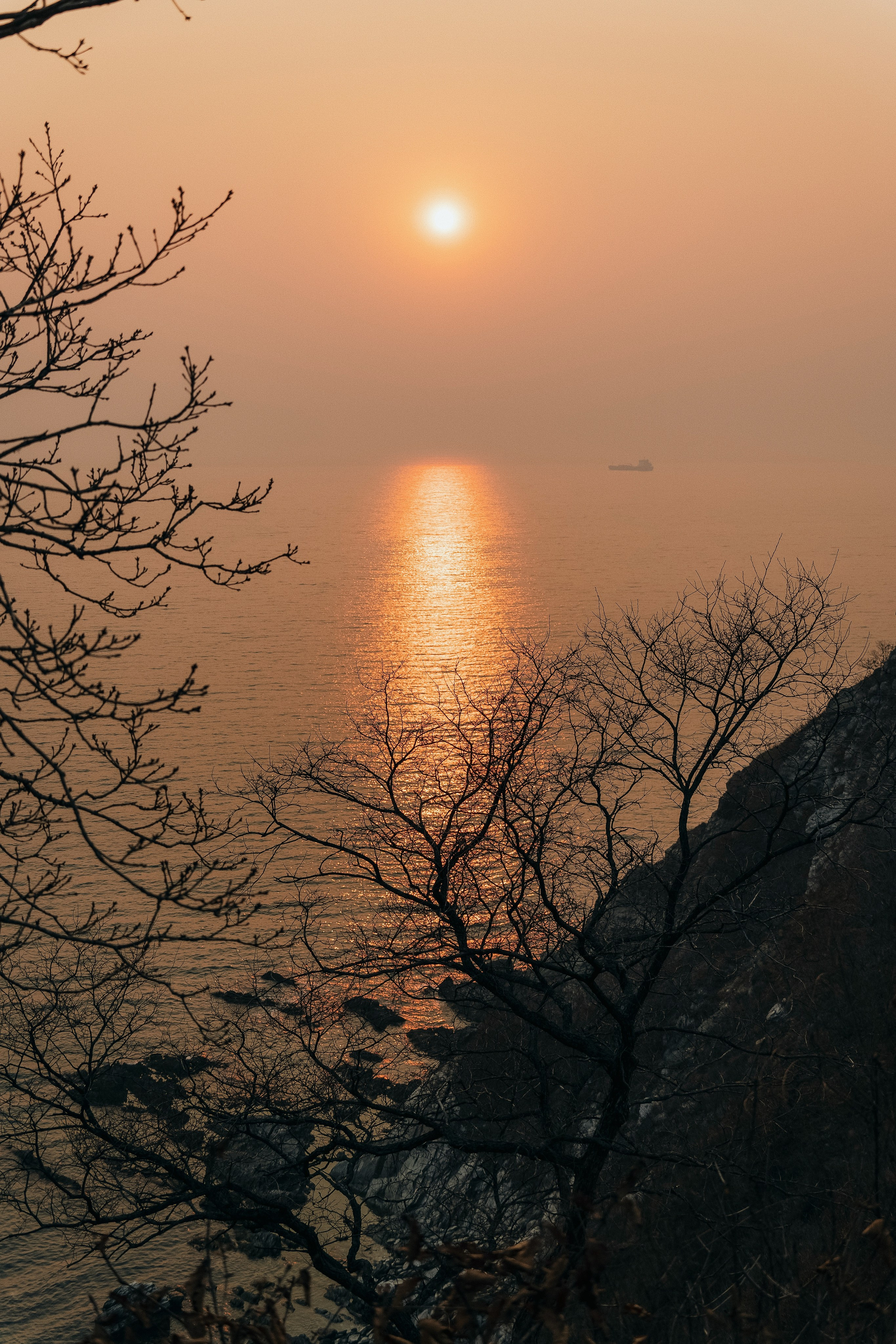 Анастасия и Евгений. Семейный фотограф анималист г. Находка