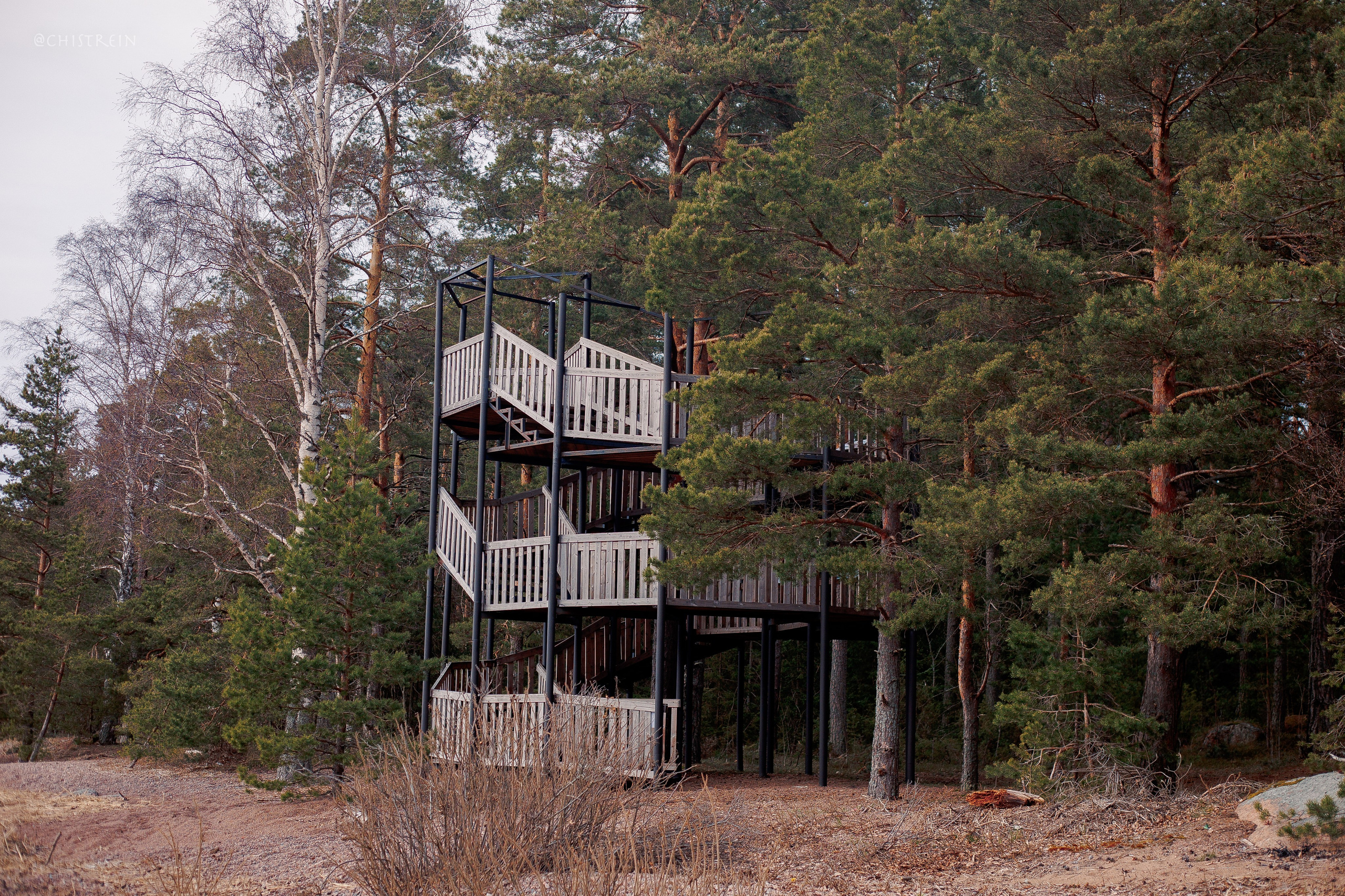 Shanti Home. Фотограф-анималист Наталия Чистюхина в г. Сосновый Бор и ЛО
