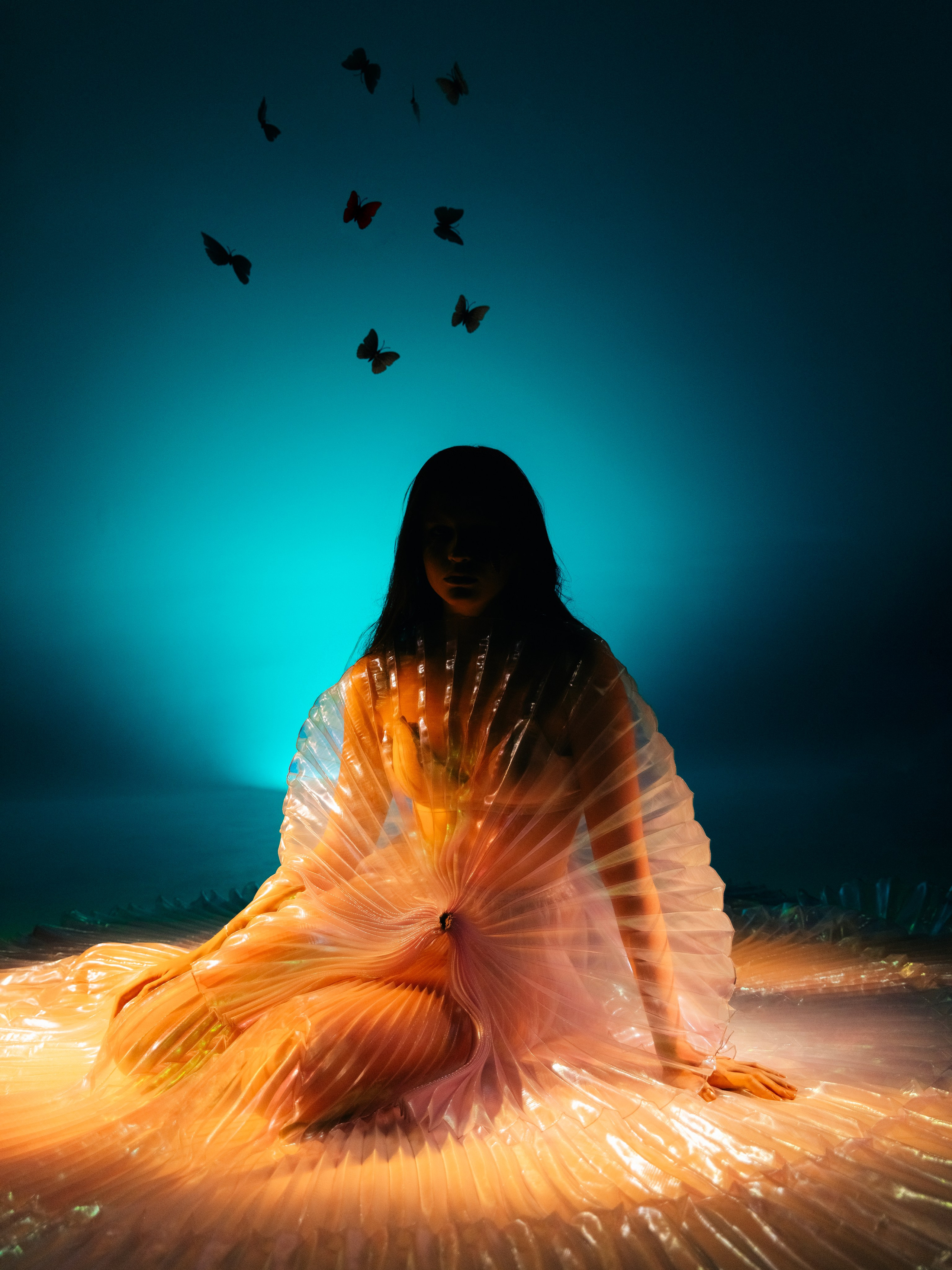 Расправляя крылья