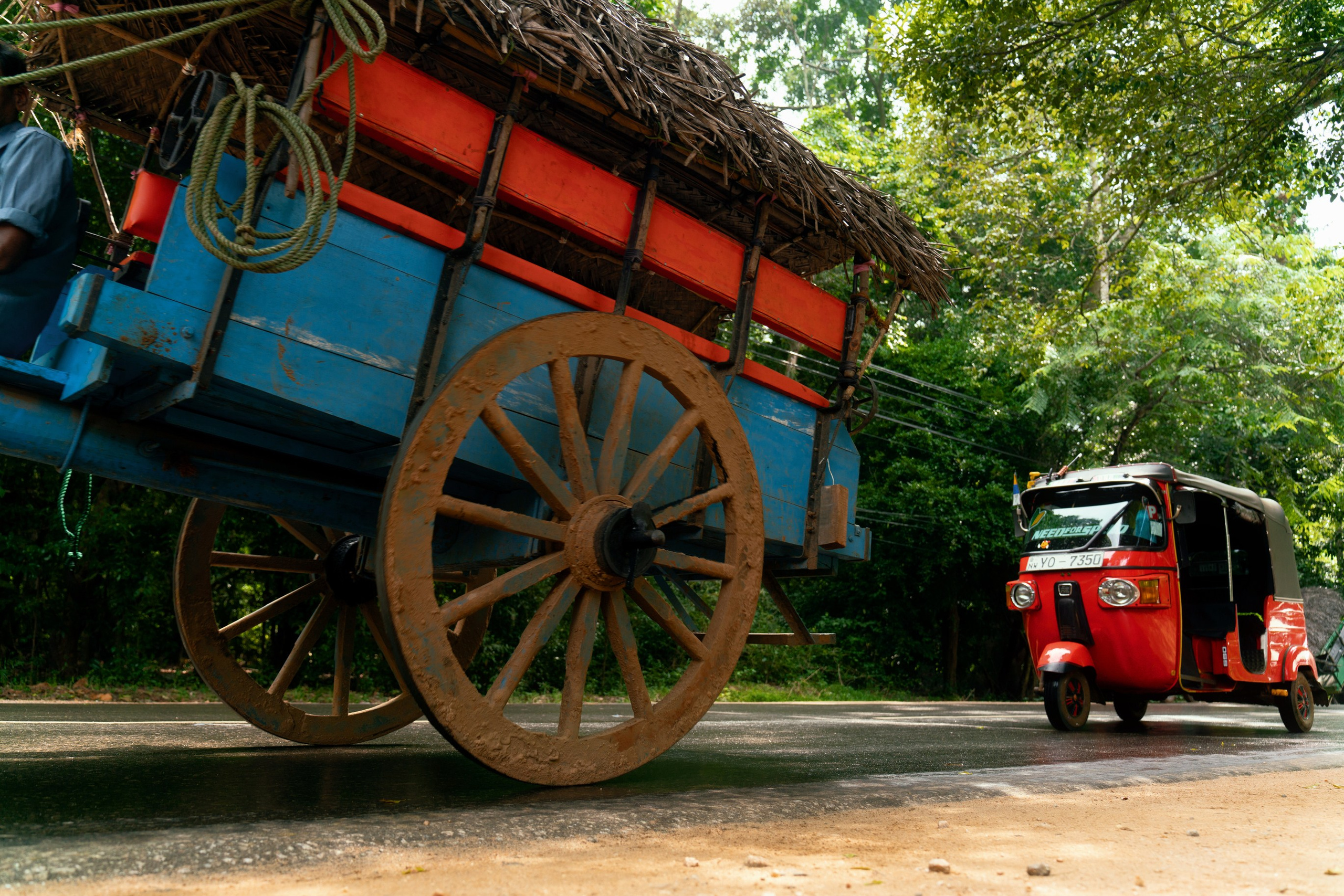 Ktokuda. Фотограф в Хабаровске. Фотография за 24 часа