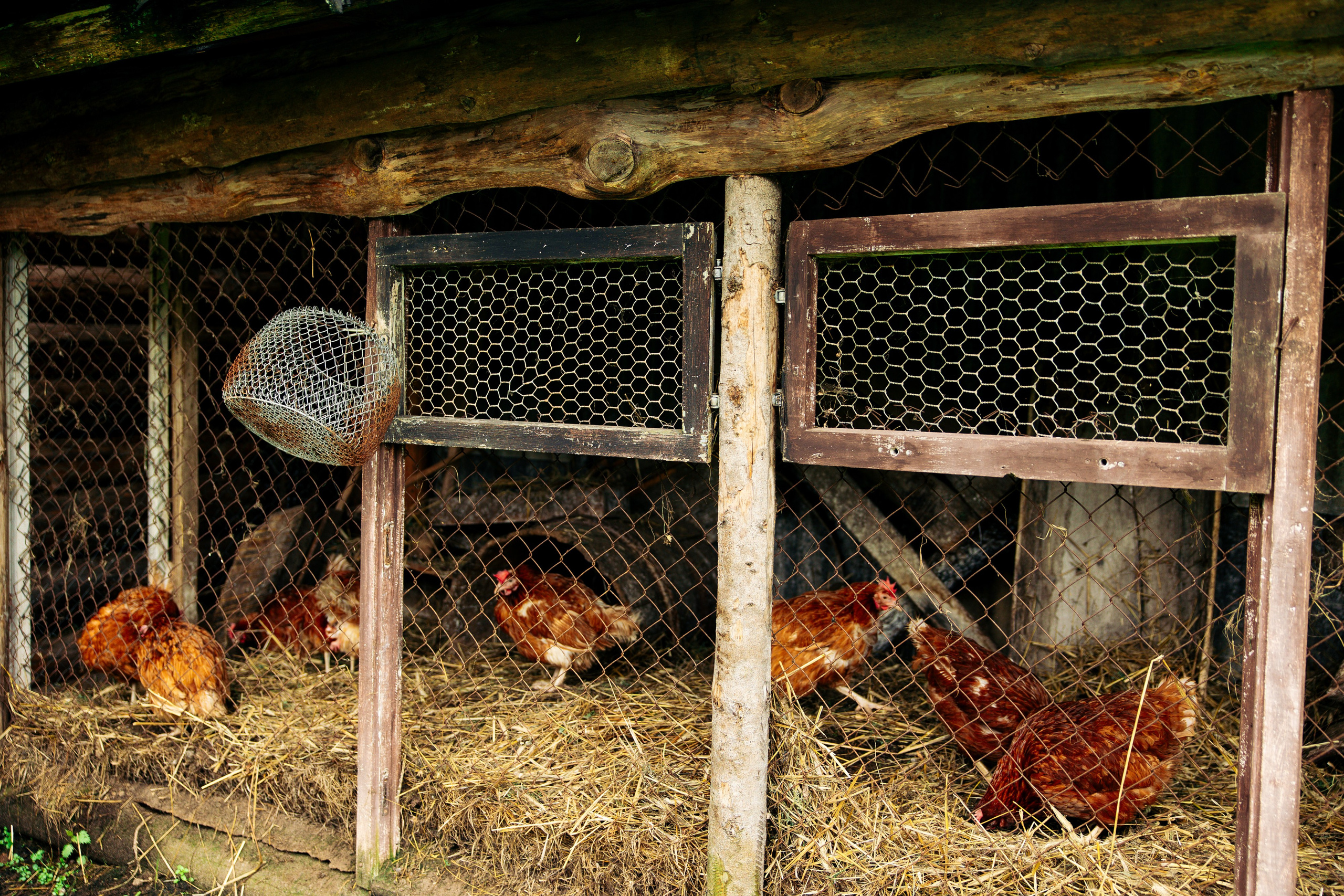ХОЛОП -тематический праздник. Свадебный фотограф Минск РБ