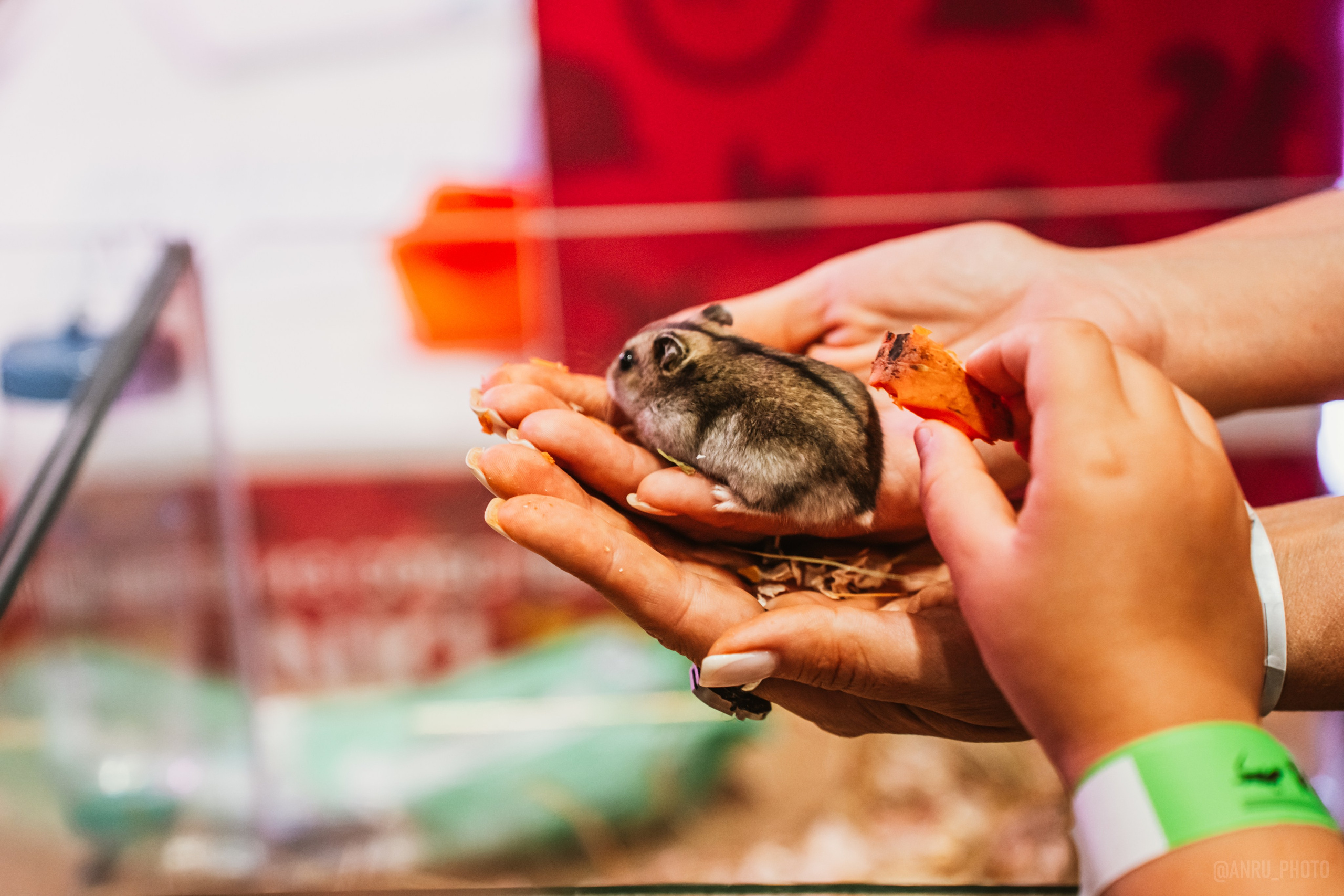 Рептилиум. Репортажный фотограф Анастасия Рубцова