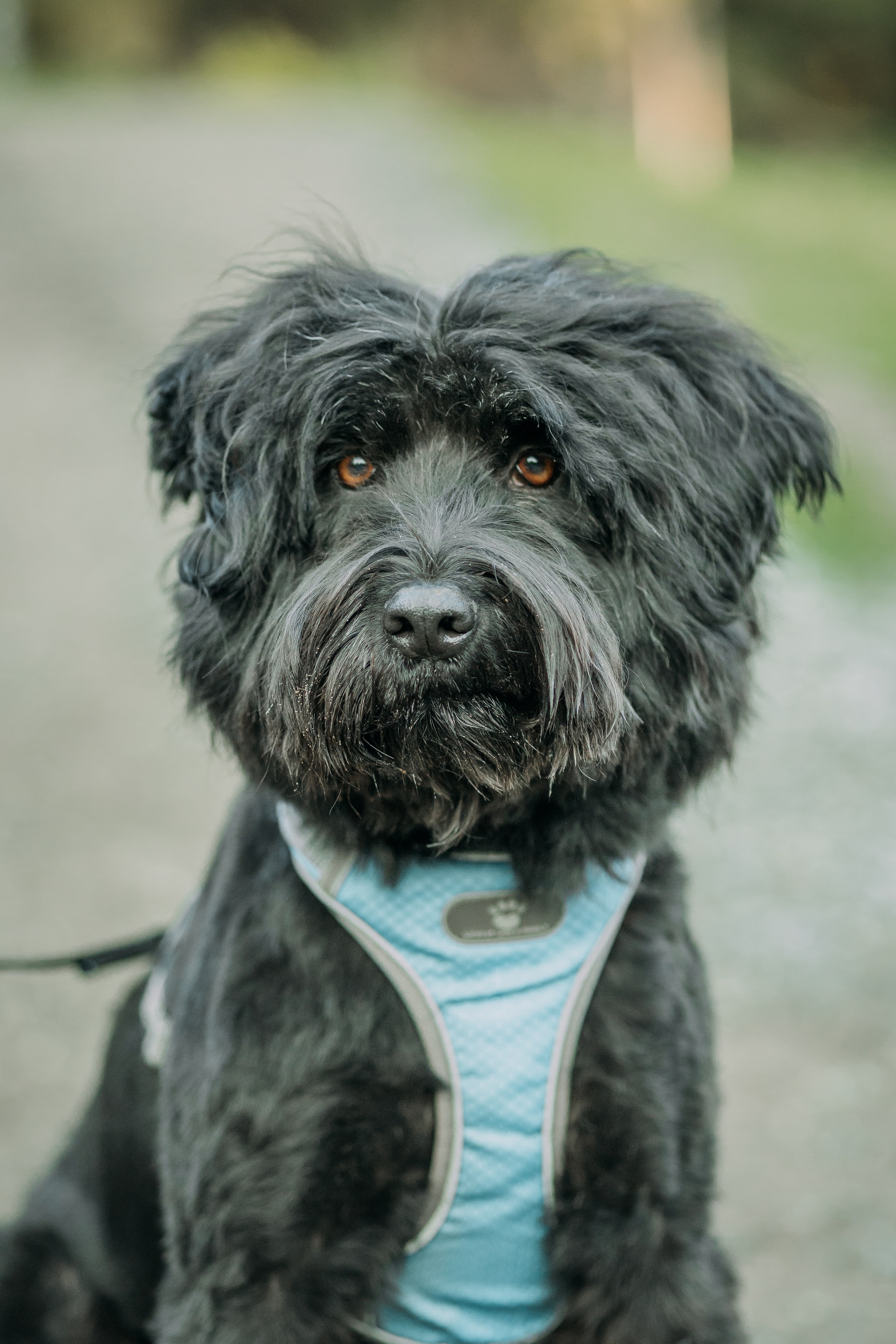 Фотопрогулка. Анна и Маришка. Фотограф Яна Матвеева в Ижевске