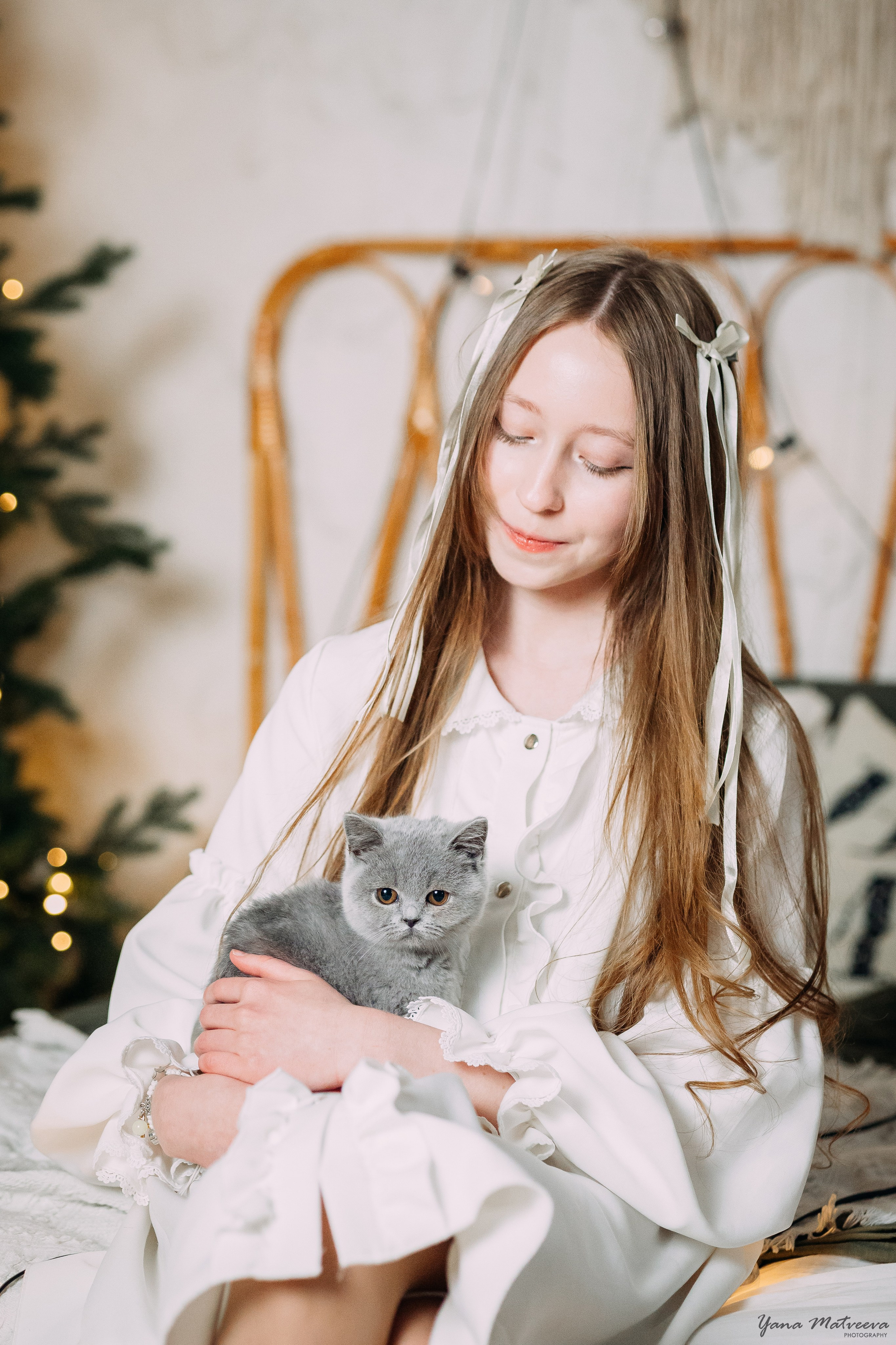 Новый год с котятами. Фотограф Яна Матвеева в Ижевске