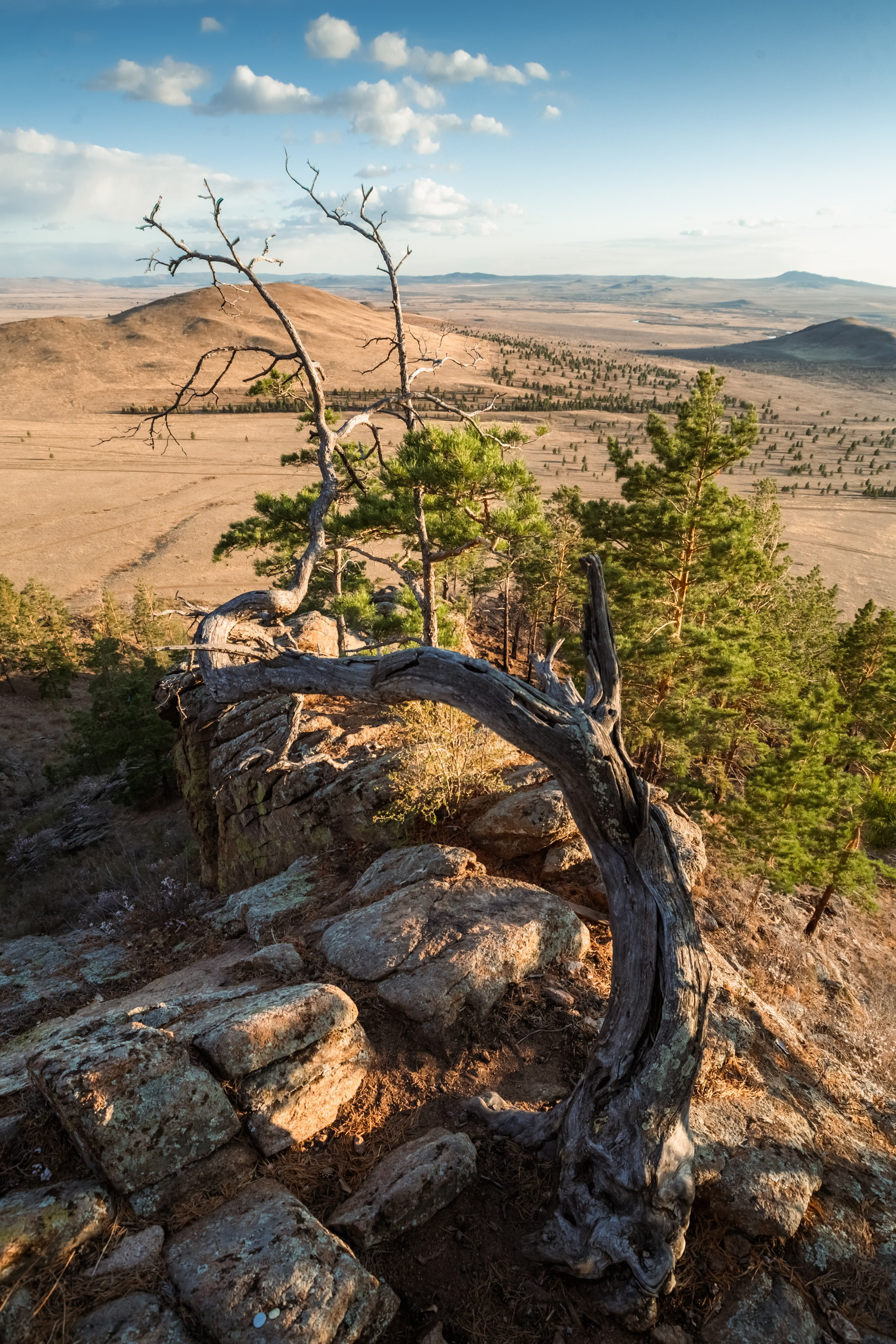 Иволгинский дацан, стоянка Чингисхана, Спящий лев, Меркитская крепость. Фотограф и видеооператор в Туле | Даниил Рыбак
