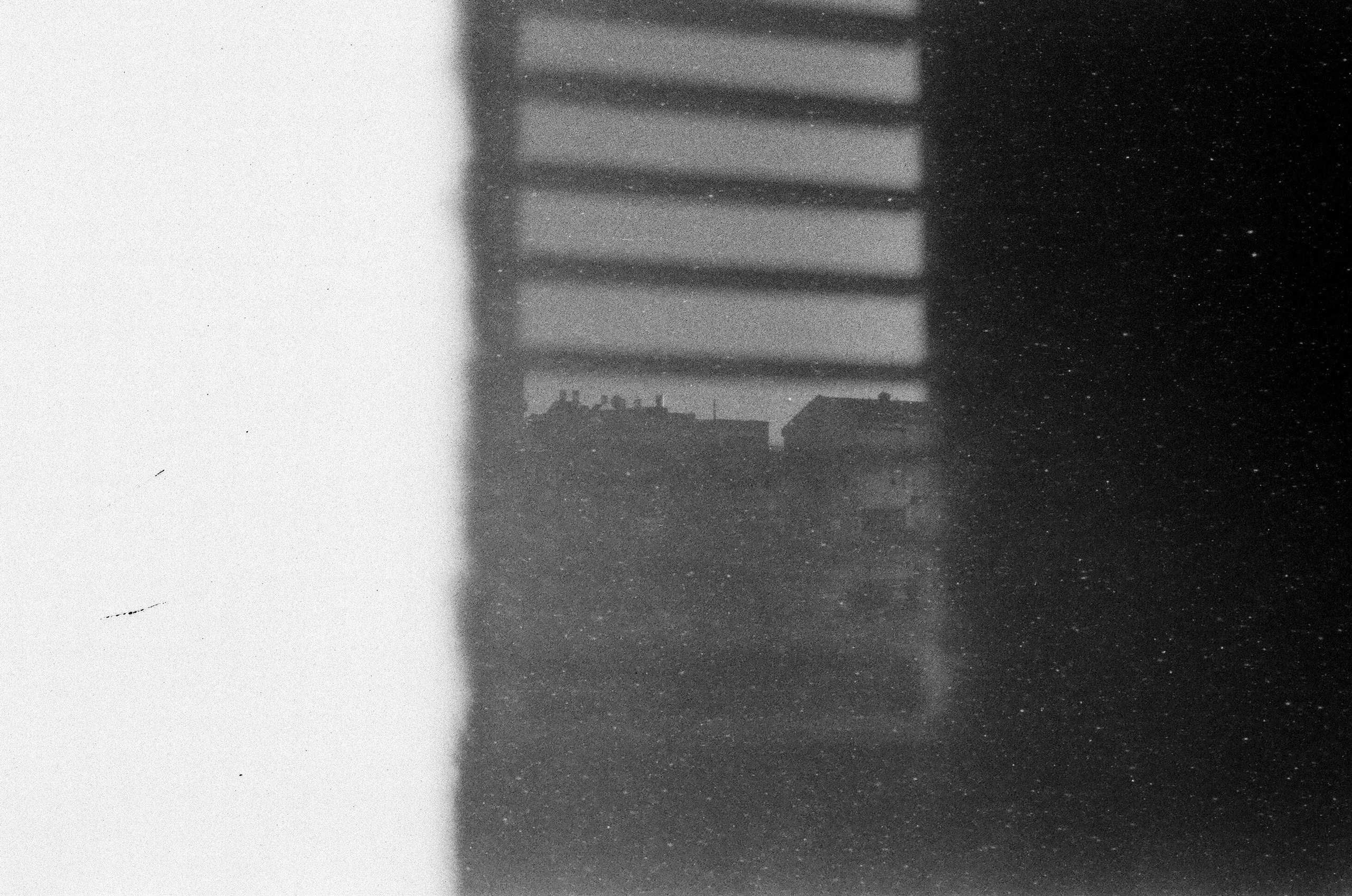 Israel 2025. Свадебный и портретный фотограф в Санкт-Петербурге