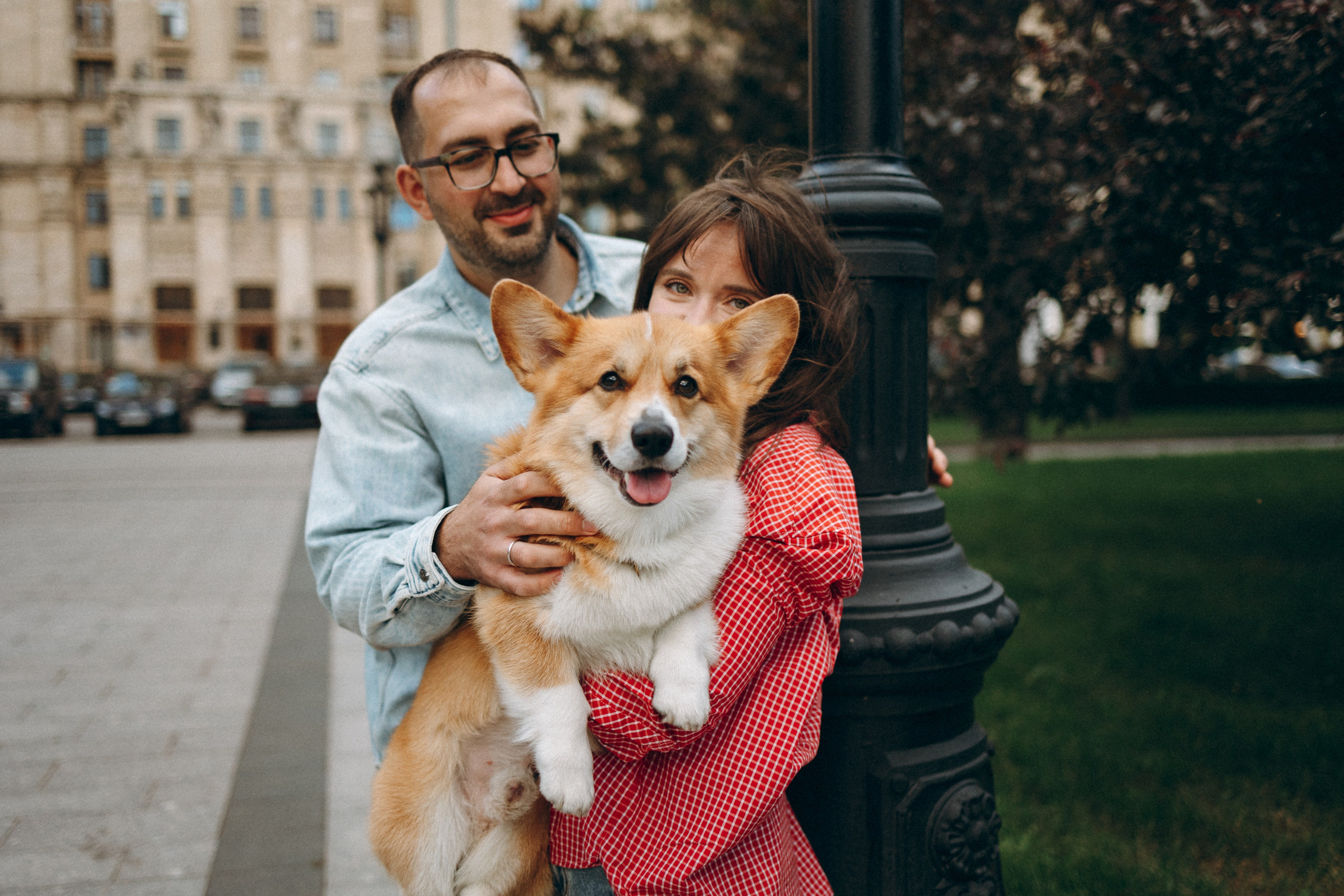 Момо, Люда и Эд. Фотограф анималист Анастасия Пикей