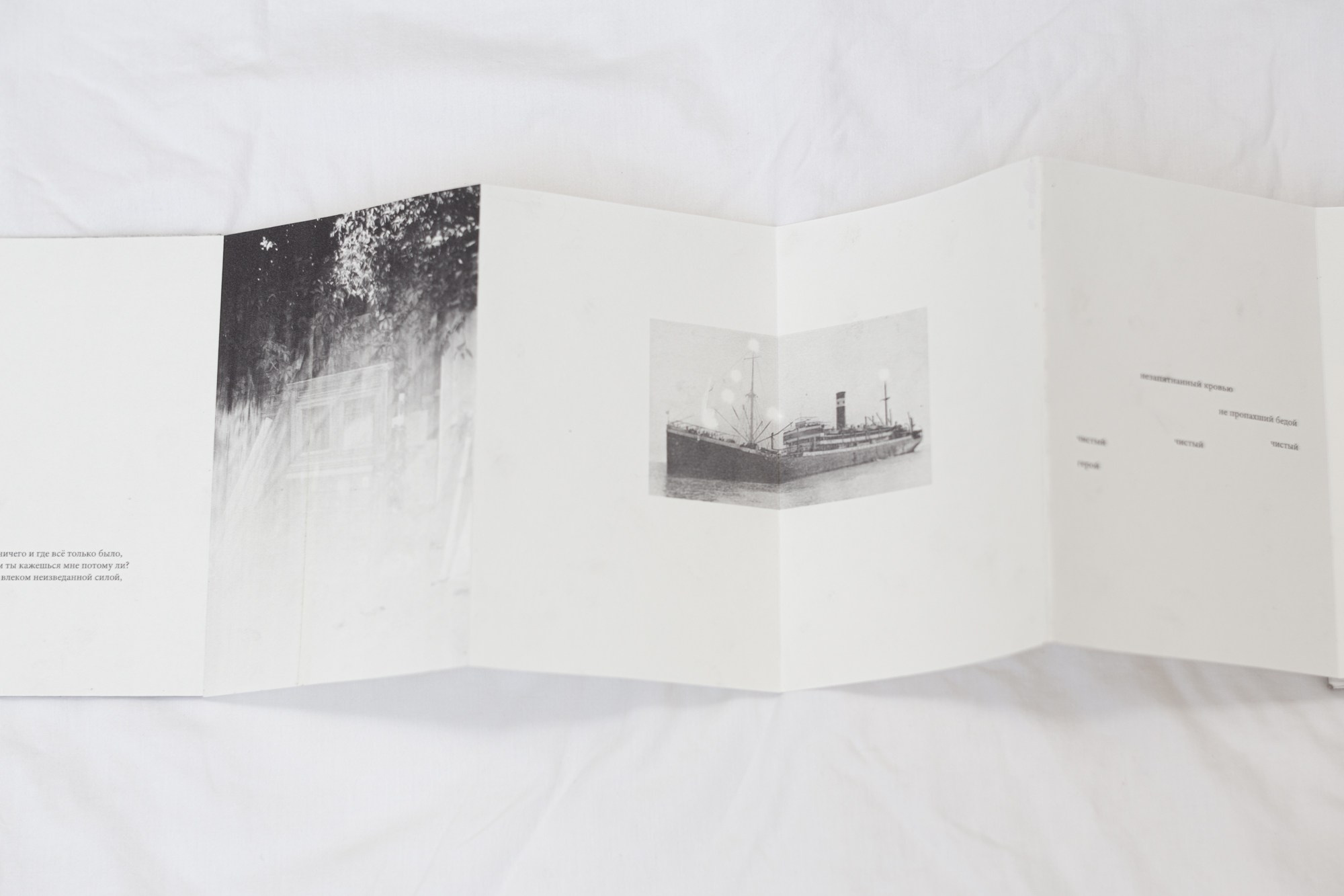 Ultima Thule. Ася Бобрицкая — мультидисциплинарый художник