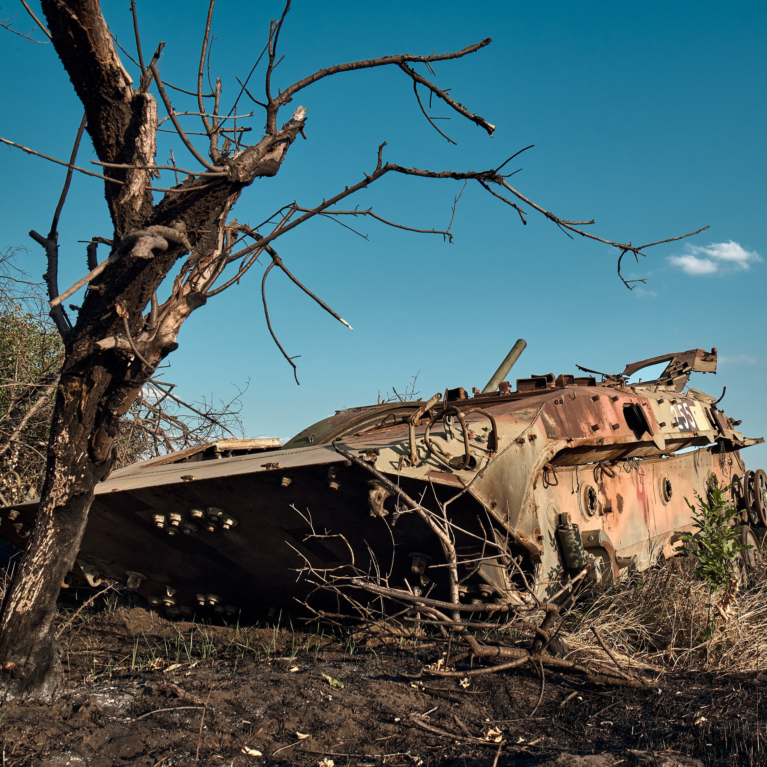 Военная фотогалерея | Эксклюзивные кадры. Артур Емельянов — Военный фотограф