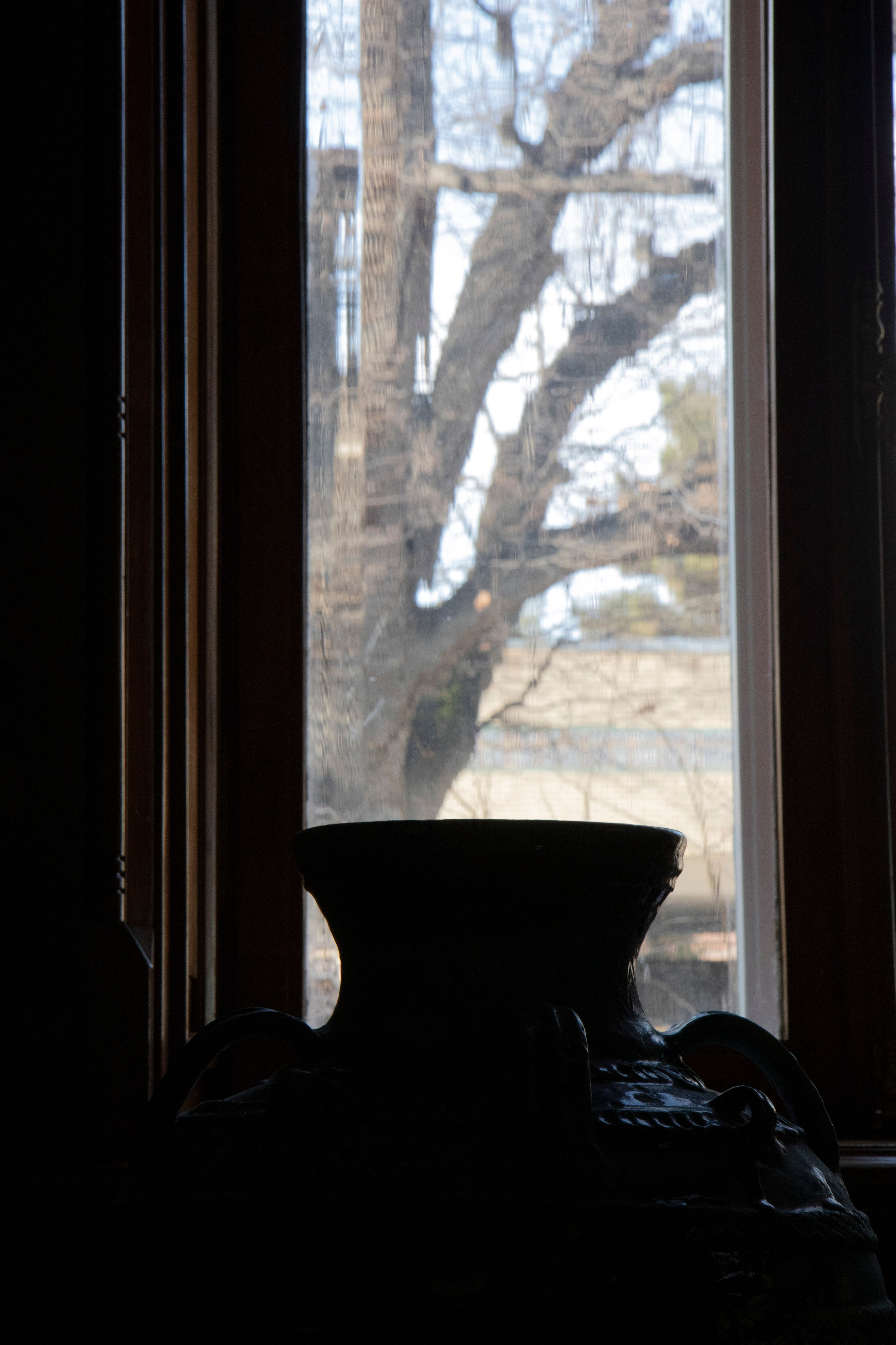 Любимое. Фотограф в Санкт-Петербурге Анна Сосновская