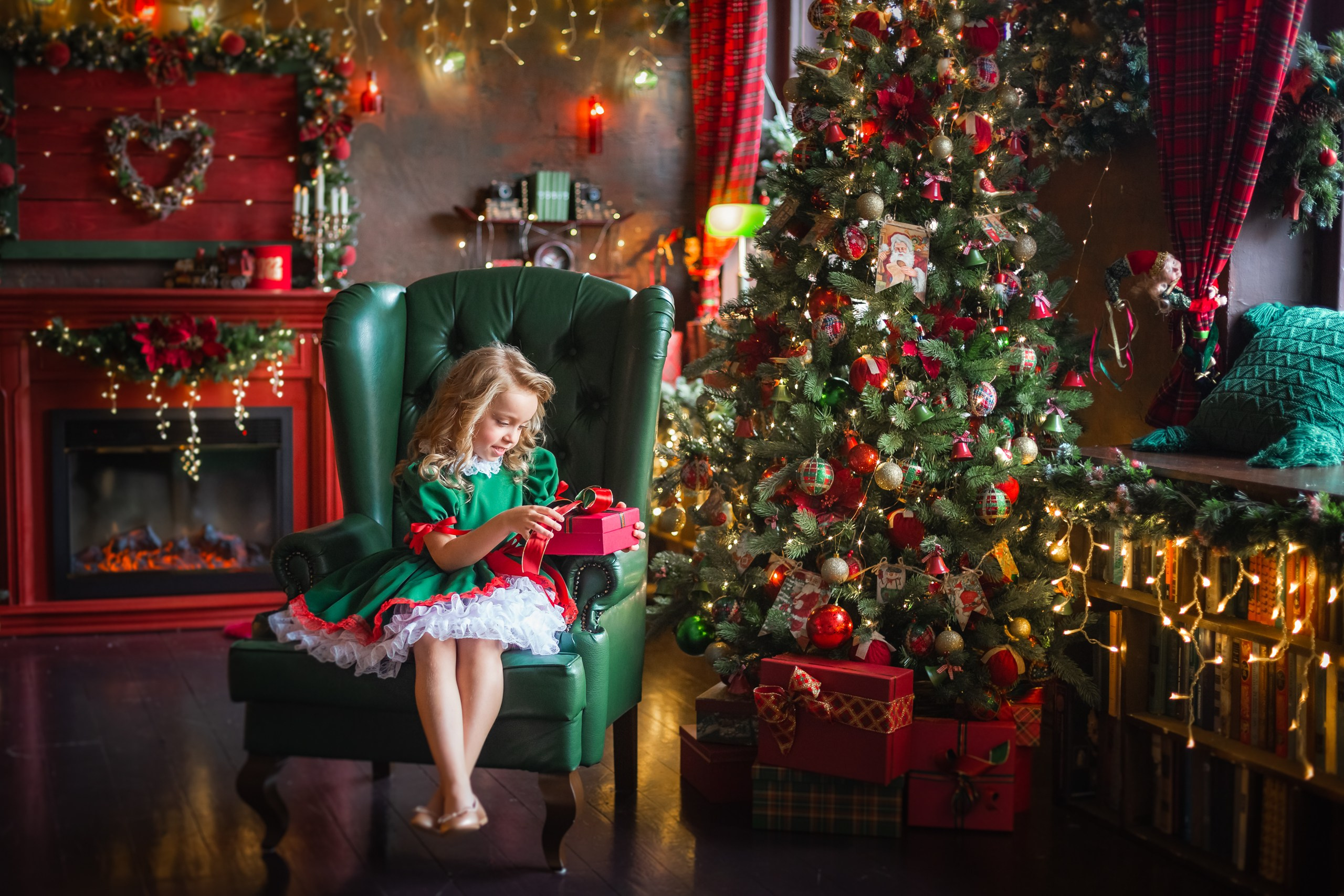 НГ ПФ Леонардо