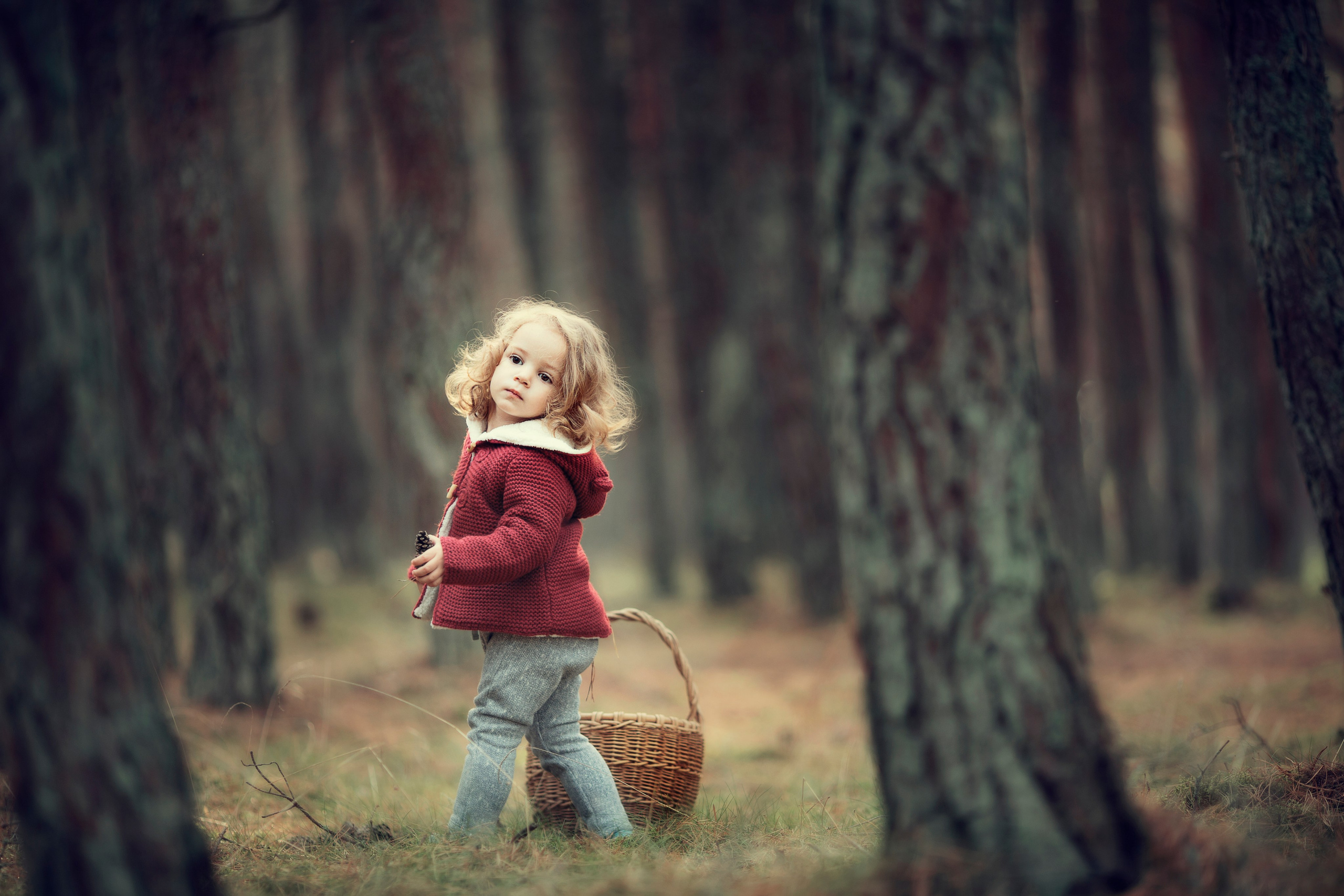 Портфолио. Карнеева Елена. Детский, семейный фотограф