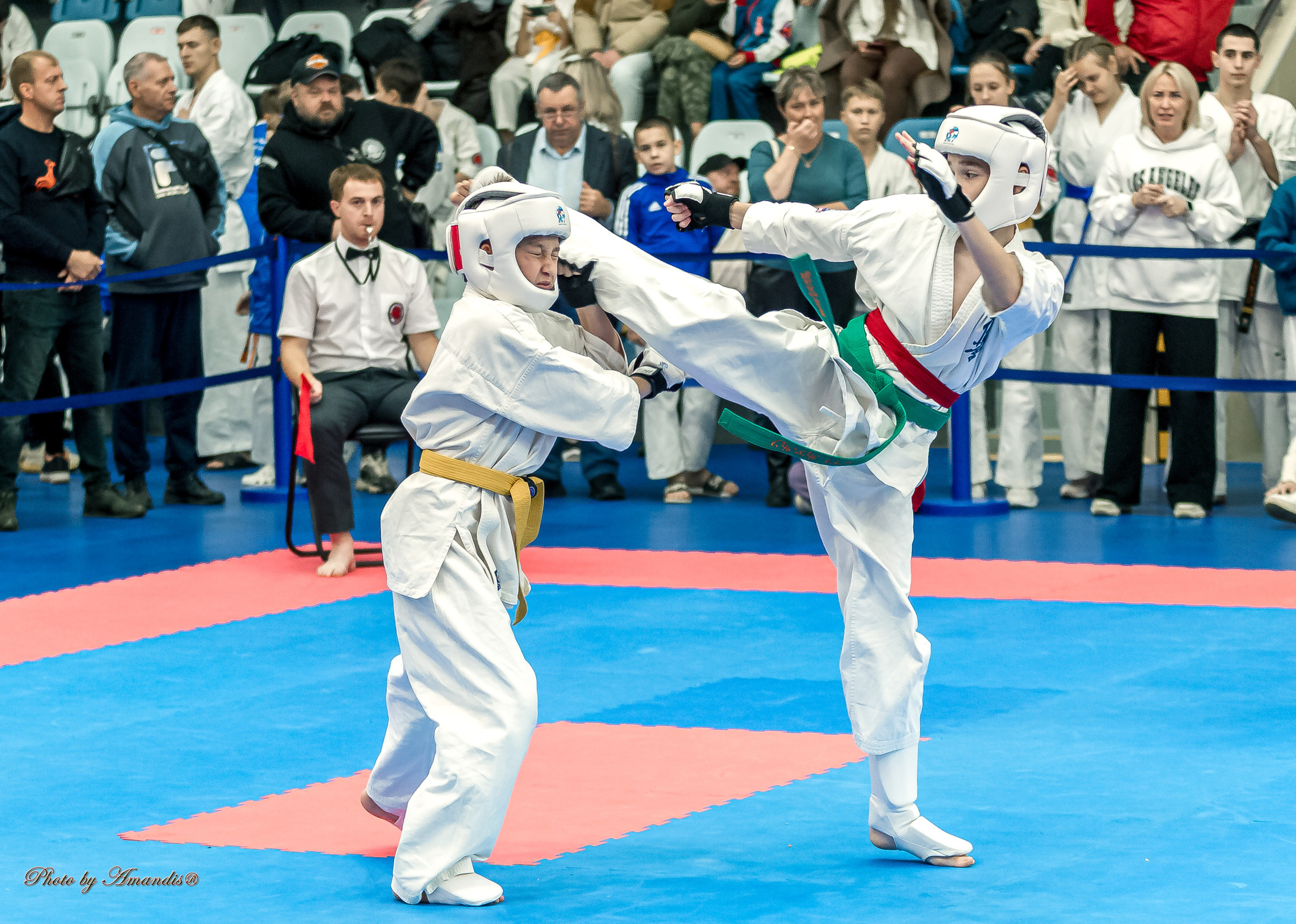 Чемпионат по Киокушинкай Центрального Федерального округа. Репортажная съемка в Москве и области. Анималистика