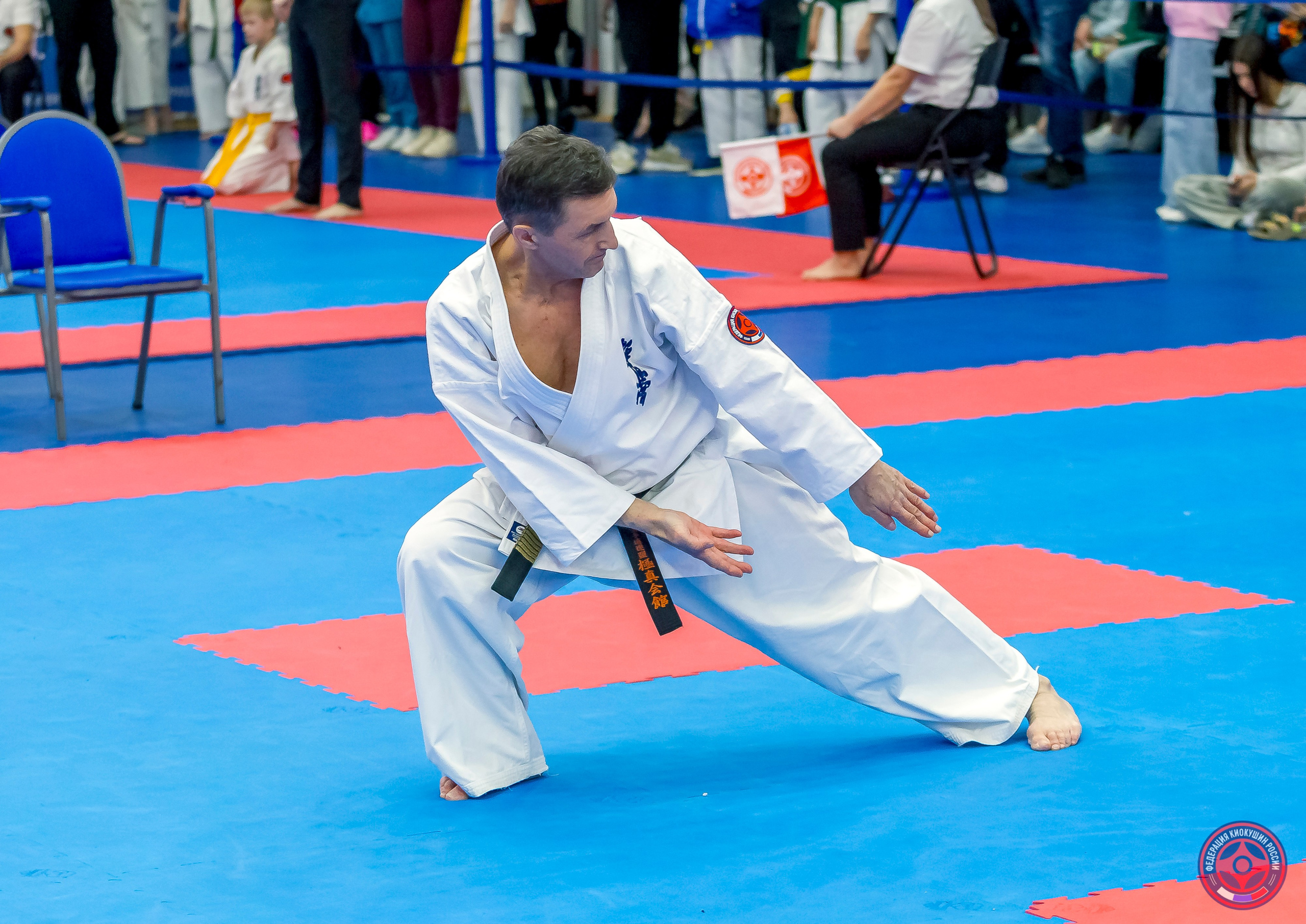 Международный турнир по киокушин «Открытый кубок Seiken». Репортажная съемка в Москве и области. Анималистика