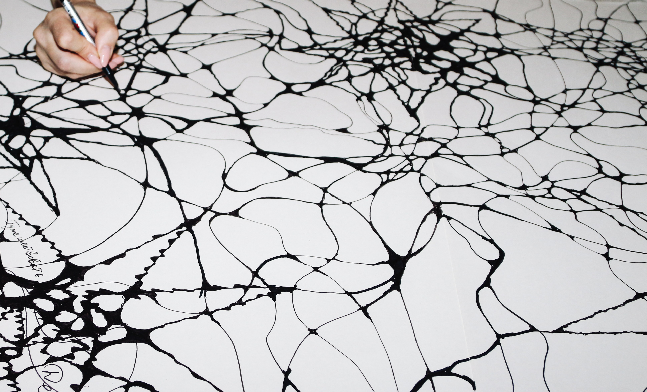 Арагон Нейрографика. Алиса Томшина — Фотограф / Видеограф