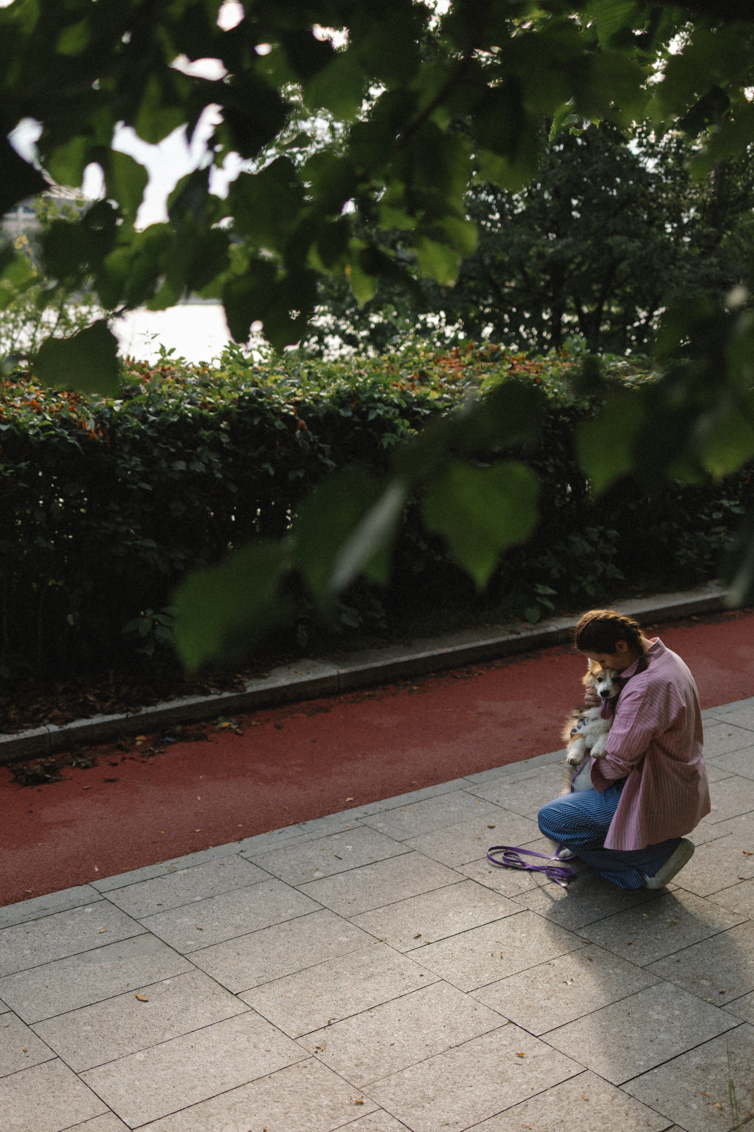 Мишель и Влада. Фотораф — анималист Мария Шистка