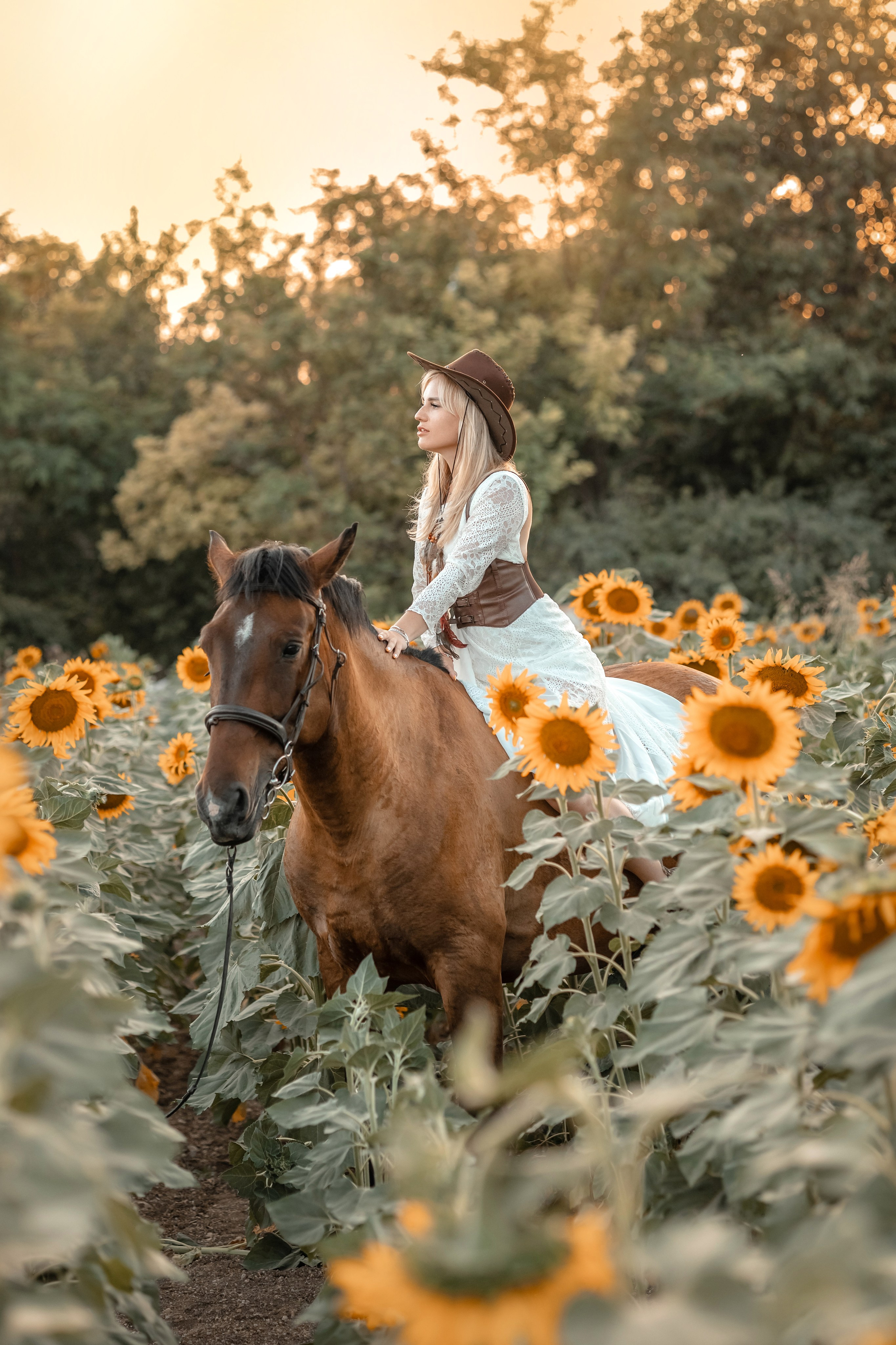 Солнечные подсолнухи. Художественный фотограф Анапа Александра Долбикова
