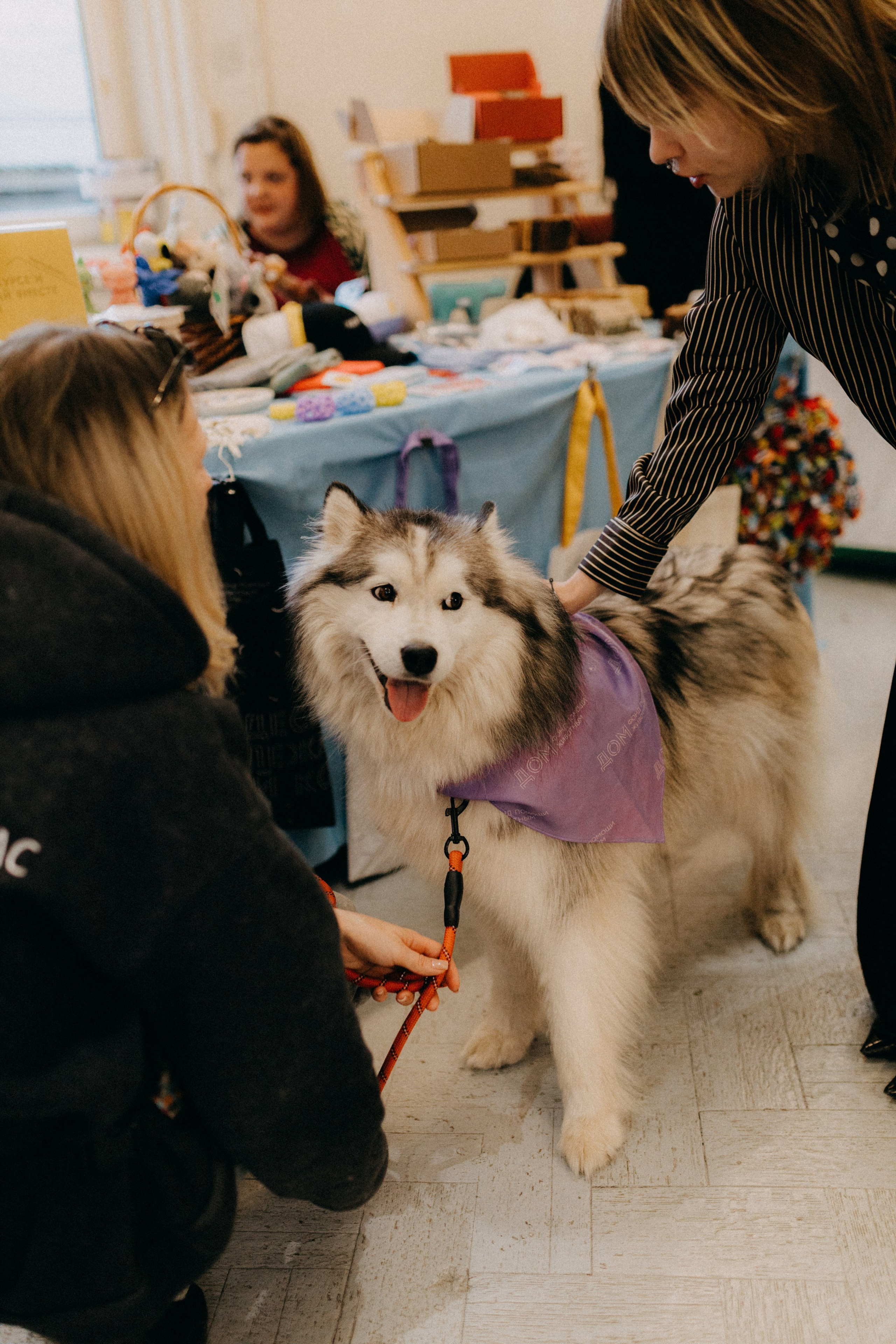 Маркет КИТЧ. Фотограф НОГИНСК, Москва, Анастасия Белая